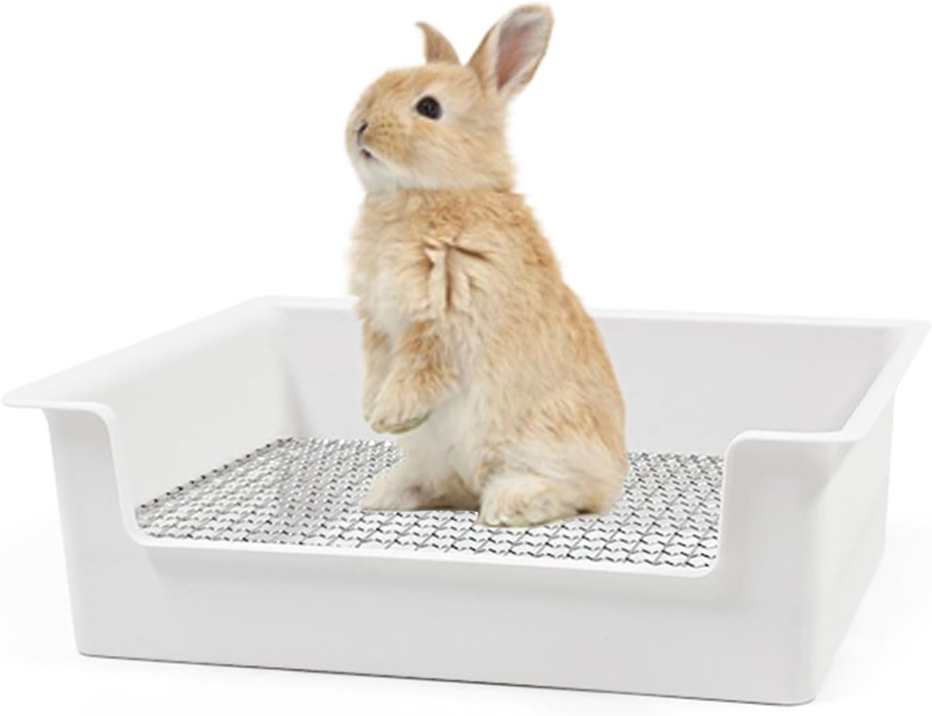 PODOO Steel Grids Rabbit Litter Box – Bunny Litter Pan Training Box, 15x11x4.7 inches, 1cm Holes Steel Mesh for Small Animals, Orange (White)