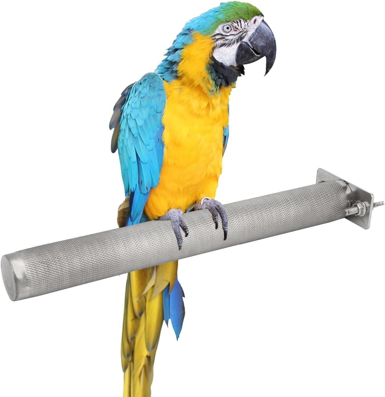 Hypeety Bird Parrot Stainless Steel Stand Perch Rod Bird Grinding Claws Parrot Scratching Stick Perch for Conure Cockatiel Parakeet Cage Accessories Exercise Stand (XL: 12.22 * 1.22 inch)