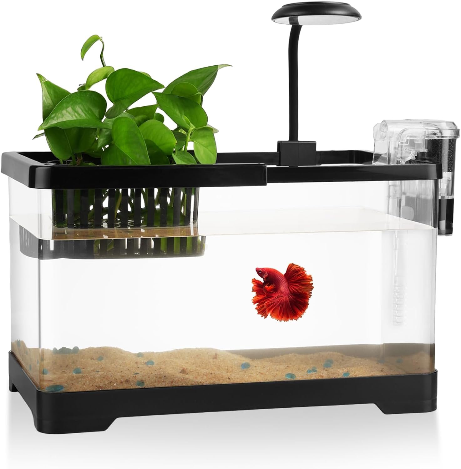 1.8 Gallon Beta Fish Tank Aquariums Kits – Clear Small Fish Bowl Starter Kit with LED Light, Water Filter Pump, Hydroponic Basket – Beginner’s Gift for Guppy Shrimp Goldfish, Rectangular