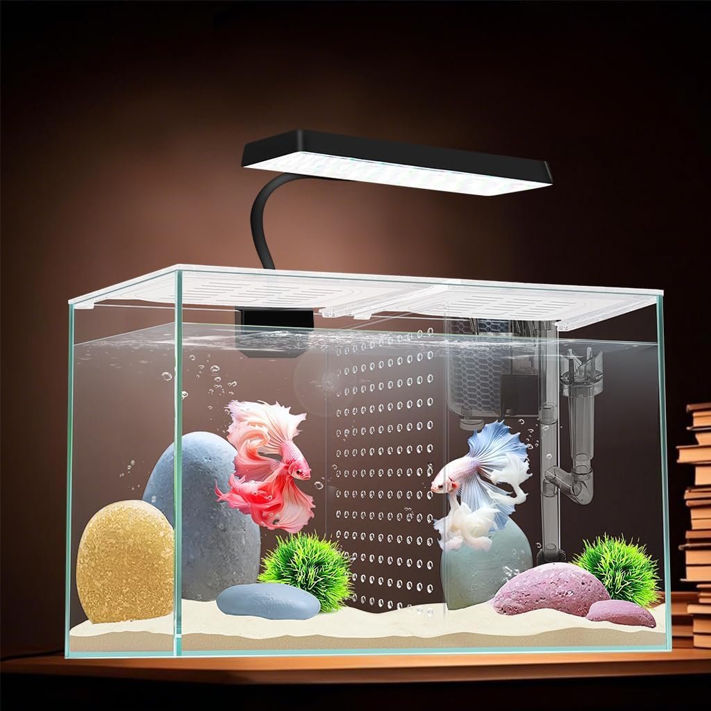 3 Gallon 12.6″ L Fish Nano Glass Aquarium, with Separator Plate for Betta, Multi-Functional Square Fish Tank with Filter, LED Light, White 4mm Glass
