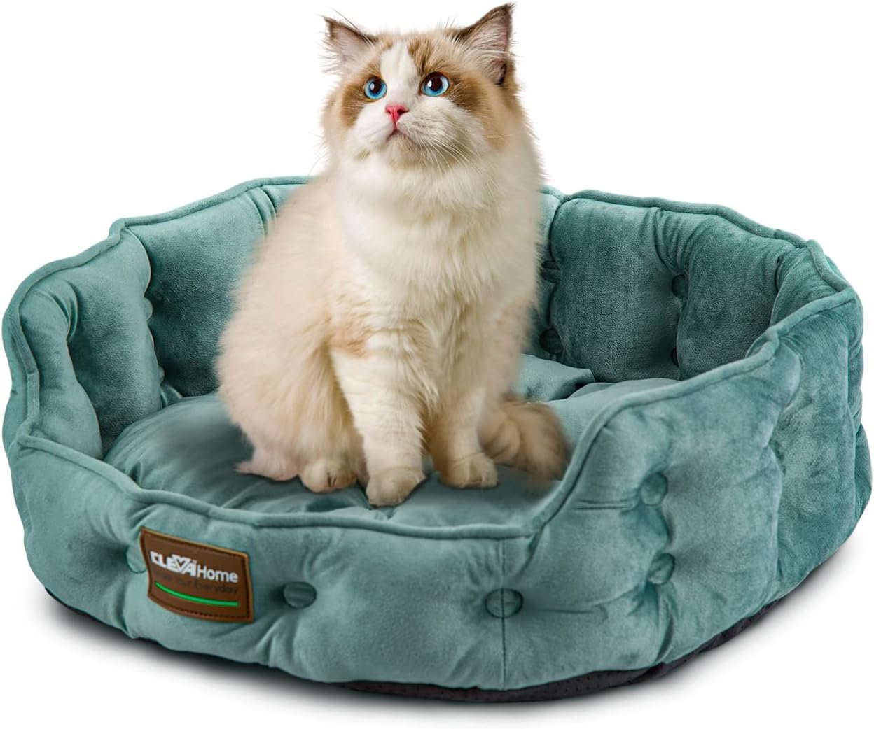 ClevaHome Cat Dog Bed for Small Pets up to 15lbs – Round Cat Beds for Indoor Cats, Machine Washable Comfortable Pet Bed for Puppy and Kitten with Non-Slip Bottom (Washed Green)