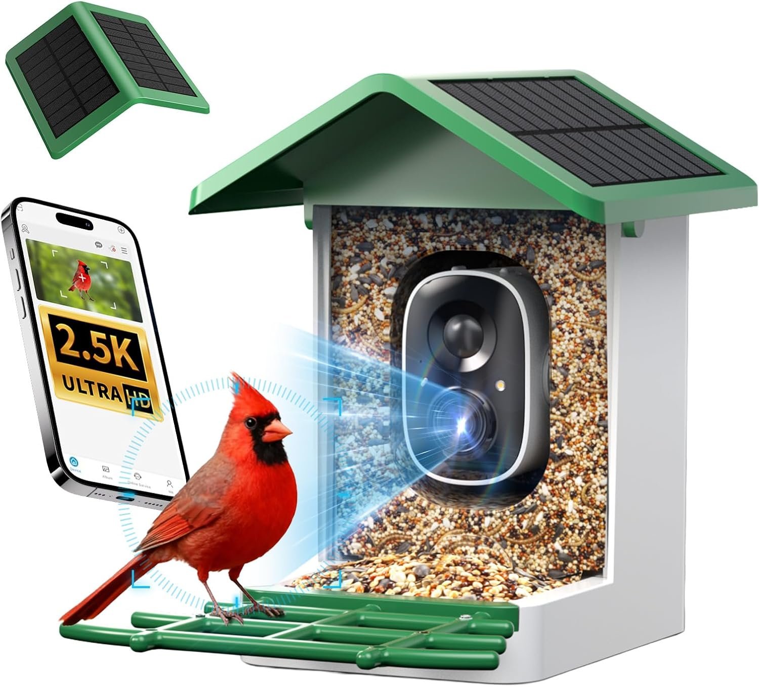 ​isYoung Smart Bird Feeder with Camera, 2.5K QHD, AI Identify 16000+ Birds,Dual Solar Panel, AI Auto-Capture & Motion Detection, IP65 Weatherproof,170° Field of View, Perfect Bird Watching Gift