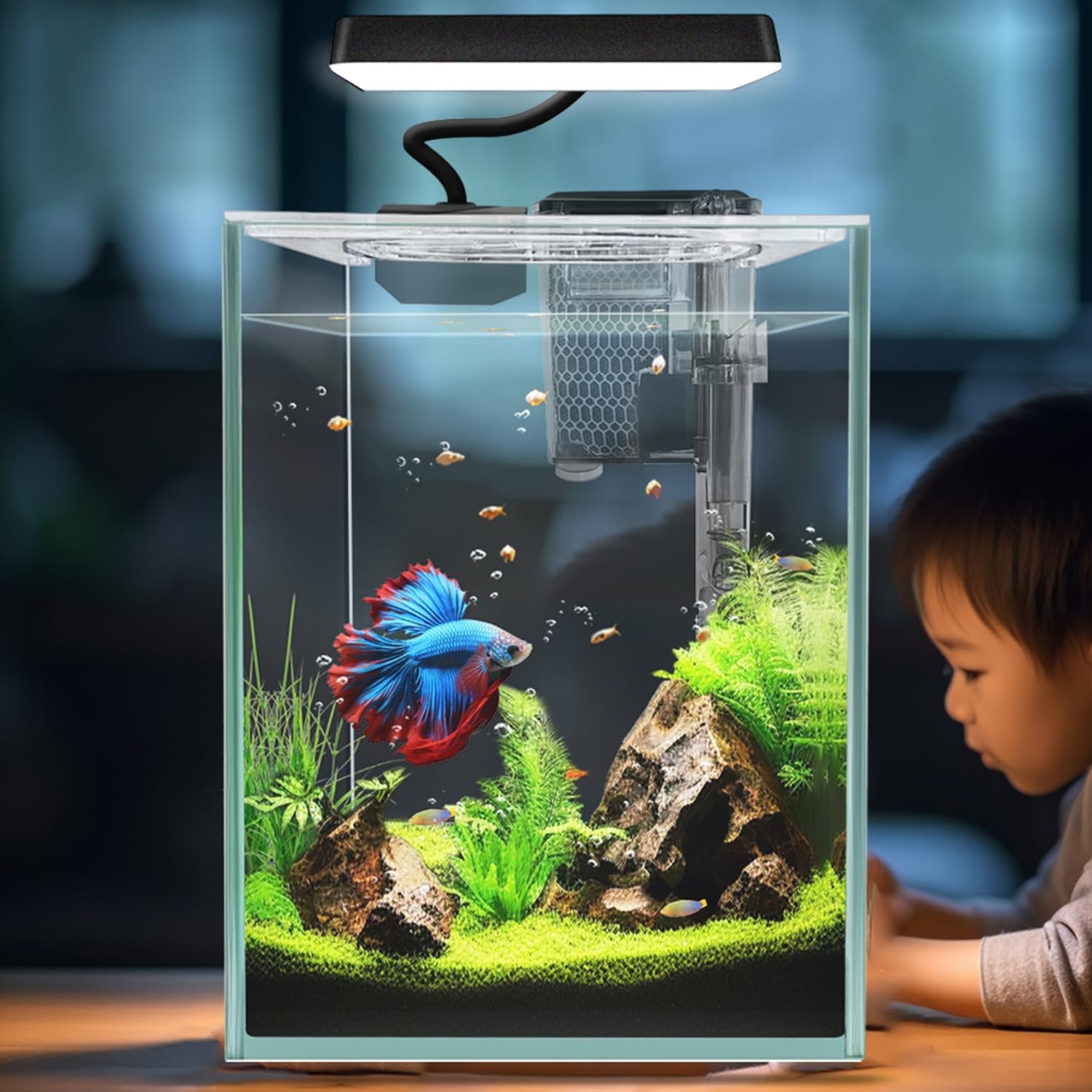 Ultra White Glass Betta Aquarium Starter Kits 1.5 Gallon Small Fish Tank, Betta Fish Tank with LED Light, Power Filter, 4mm Glass
