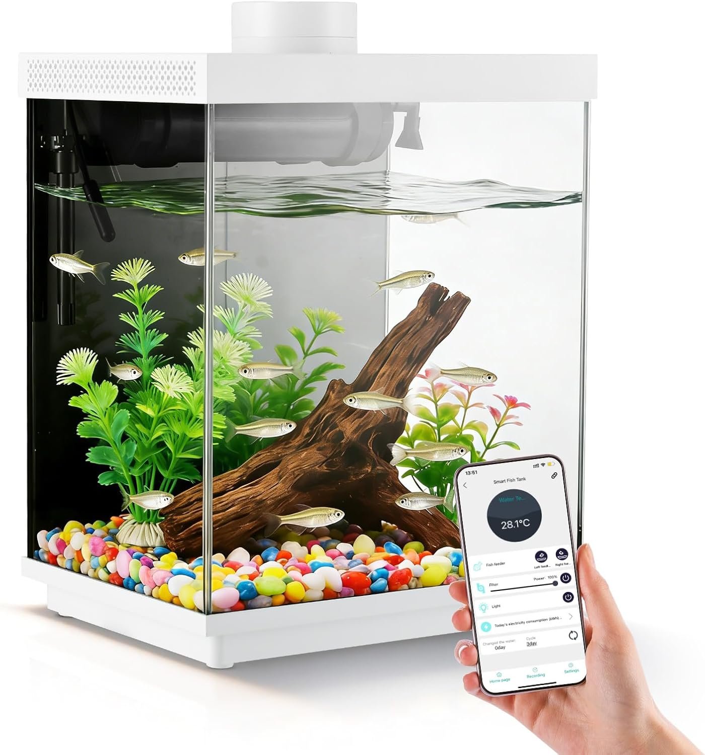 Smart 3 Gallon Glass Fish Tank, Aquarium Kit with APP Control and Auto Feeder, Temperature Display, RGB Color Light 3-in-1 Quiet Pump with Filter for Home, Office Corner