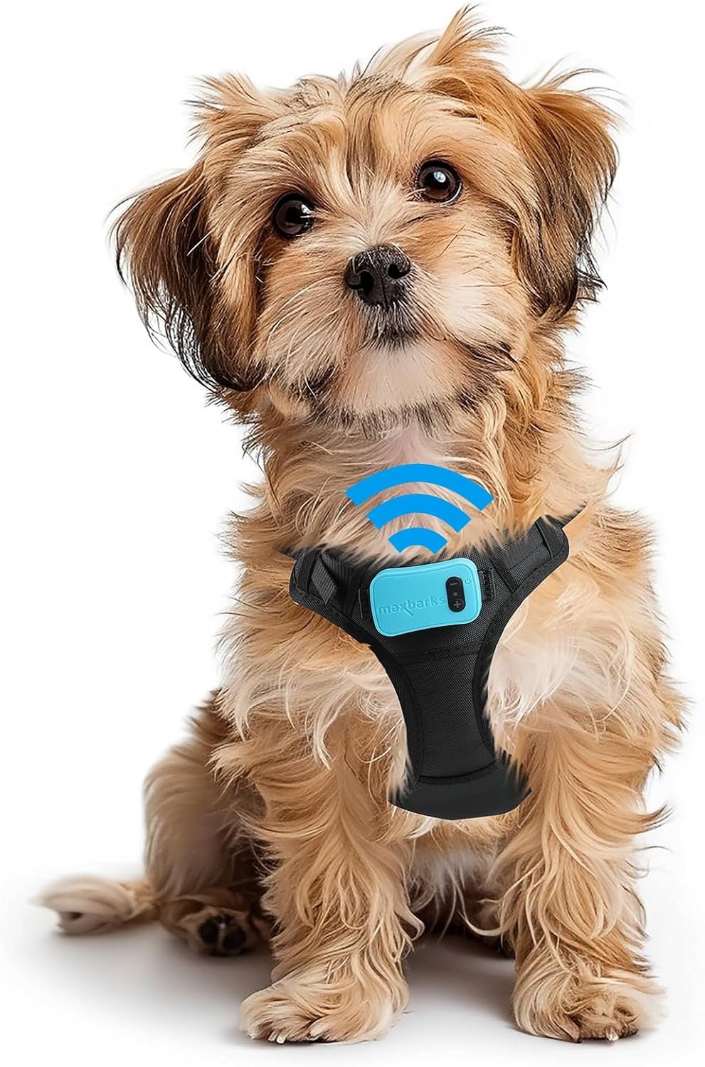 Bark Control Training Vest for Small Dogs – Rechargeable No Barking Device for Dogs – Bark Deterrent with 5 Sensitivity Levels, Adjustable Straps, D-Ring – No False Alarms or Throat Prongs