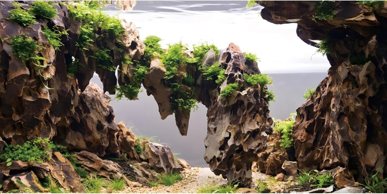 AWERT 24×16 inches Viewing Stone Fish Tank Background Aquatic Plant River Bed & Lake Aquarium Background Seaweed Aquarium Vinyl Background