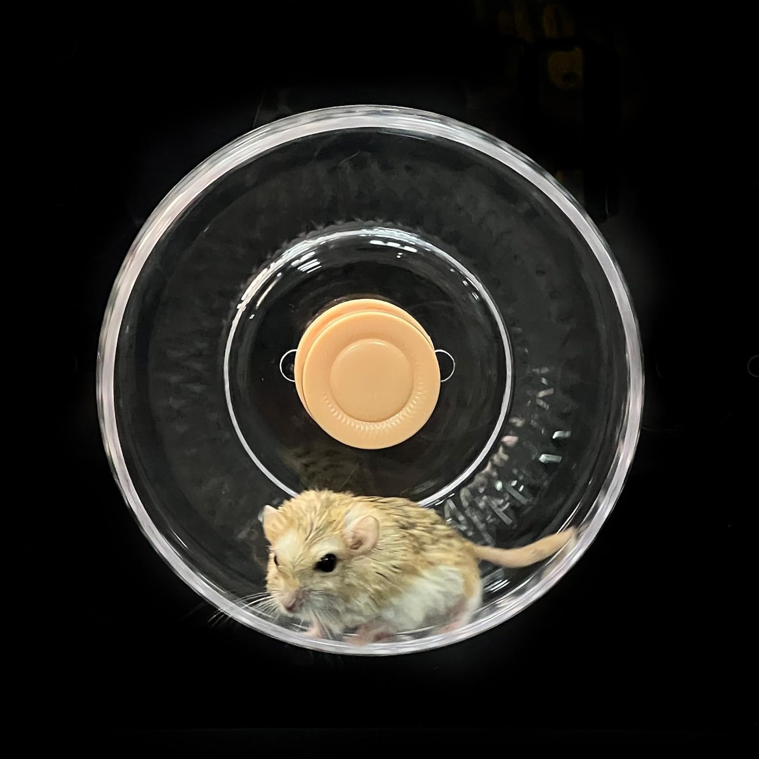 GuineaLoft™ Silent Hamster Wheel – 7.1 inch (18cm) for Hamsters, Mice, Gerbils & Small Animals