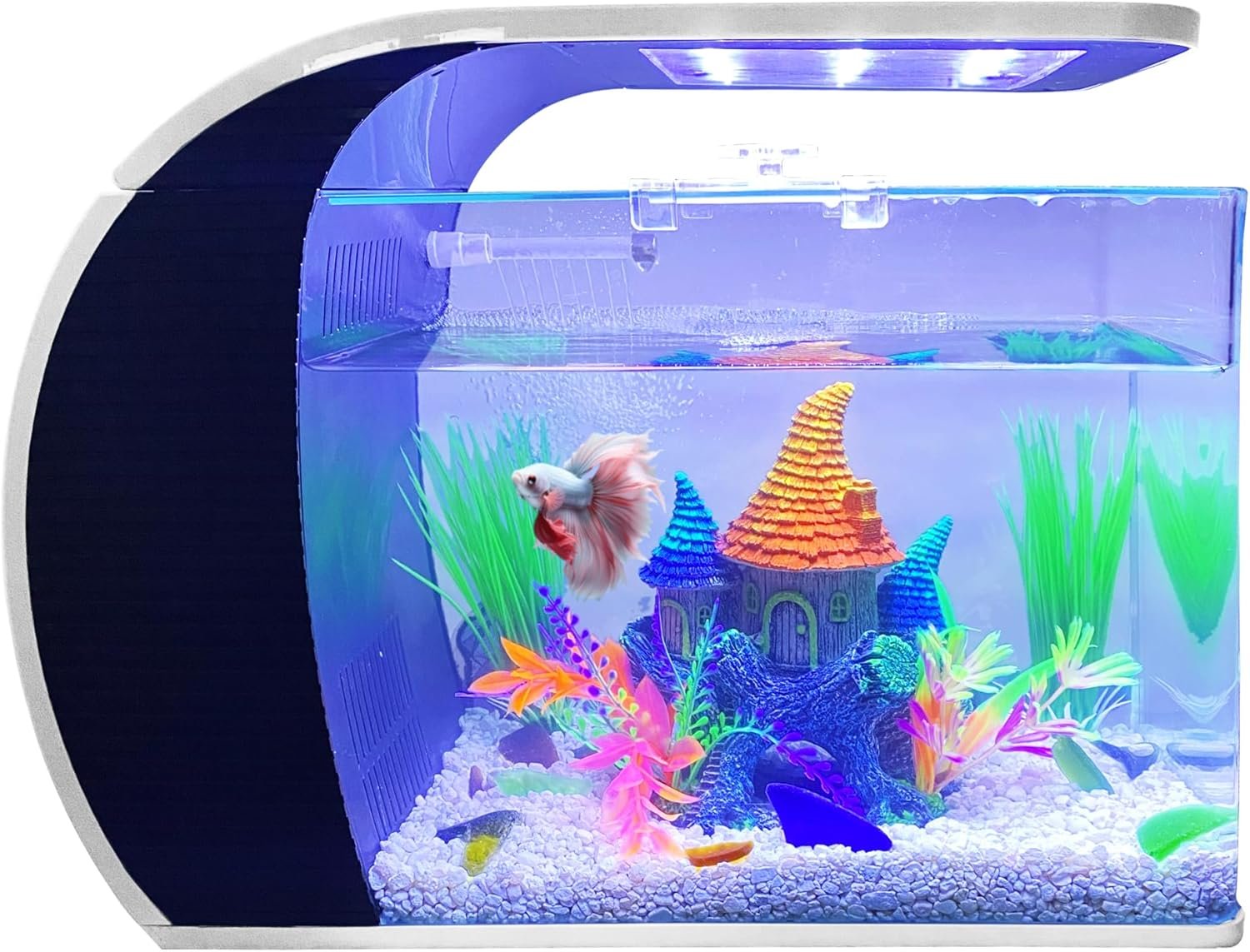5 Gallon Fish Tank – Arc-Shaped Glass Tank w/LED Lights – Fish Tank Kit w/Filter, Water Pump, Bag of Filter Media & More – Beautiful Aquarium Set for Office & Home – Easy Assembly Starter Kit