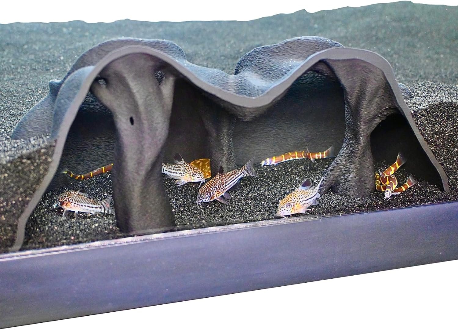 Aquarium Underground Cave Natural Mangrove Tree | Viewing Fish Under Gravel Tunnel Hide | Fish Tank Hideout Decor Decoration Enrichment for Corydora Catfish, Kuhli Loach, Clown Loach, Pleco, Betta