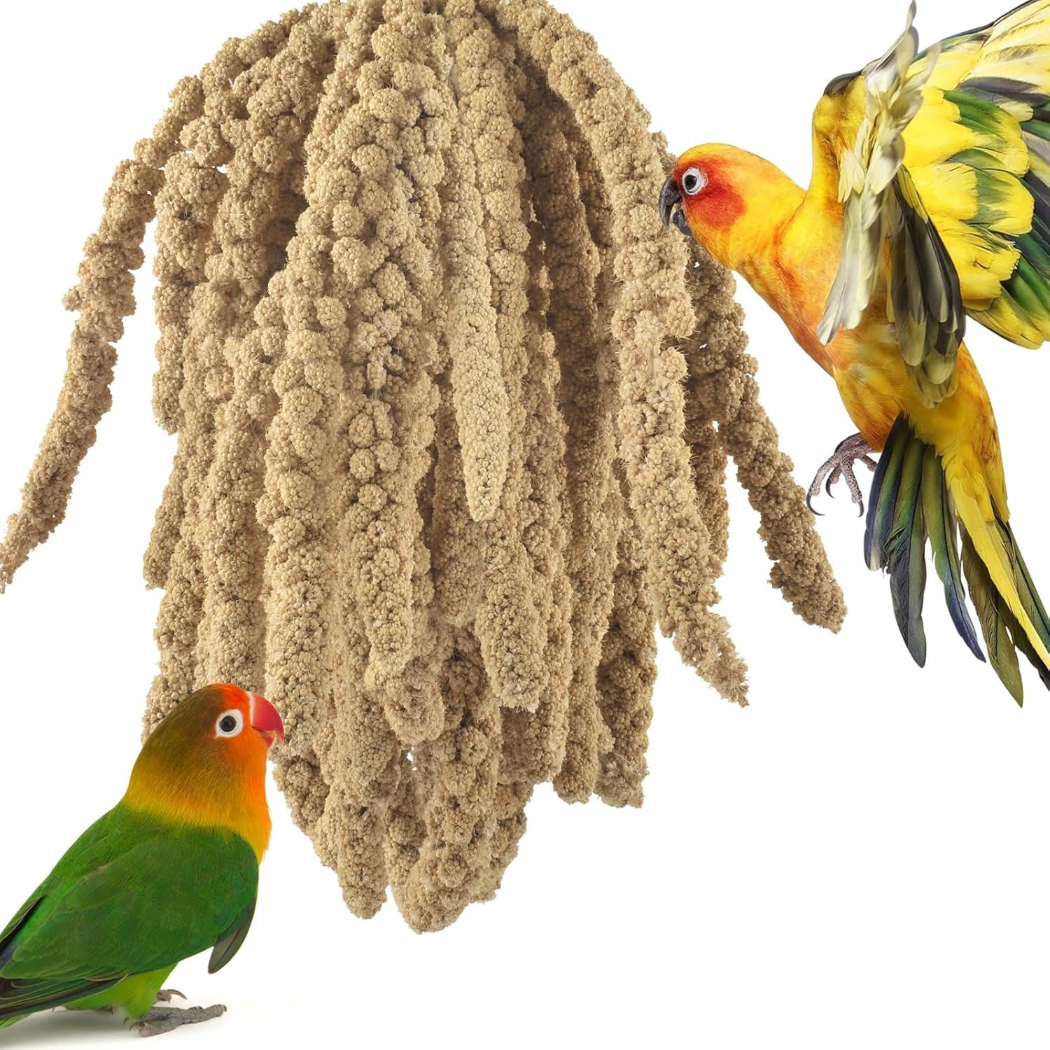 ERKOON 1.5LB Spray Millet Treat, All Natural Sun-Dried Healthy Treat Parrot Food Bird Snack for Parakeets, Lovebirds, Cockatiels, Finches, Budgies, Canaries Hamster, Bird Food Bulk