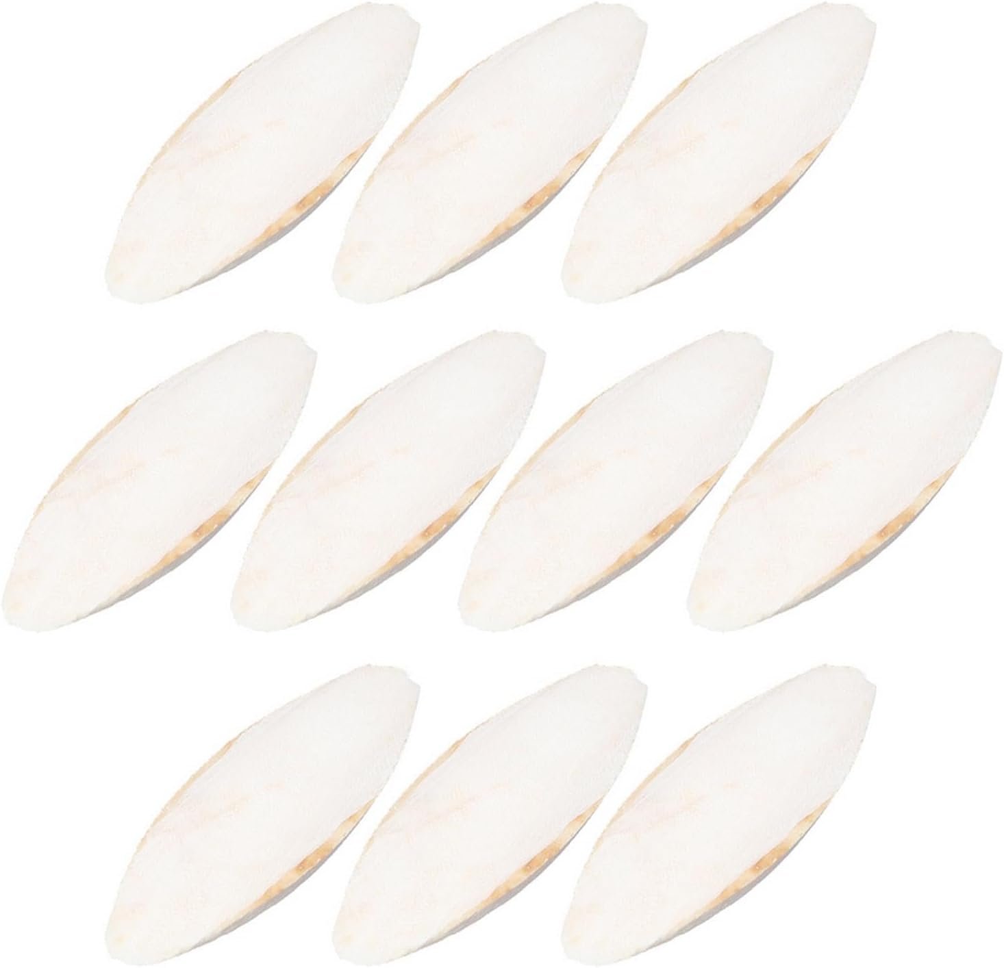 20 Pack Bird Cuttlebone Chew Toy, Natural Cuttlebone for Birds Parakeets Reptile Tortoises Snails, Cuttlefish Bone for Birds, Bird Calcium Stone for Parrots Cockatiels Budgie Macaw