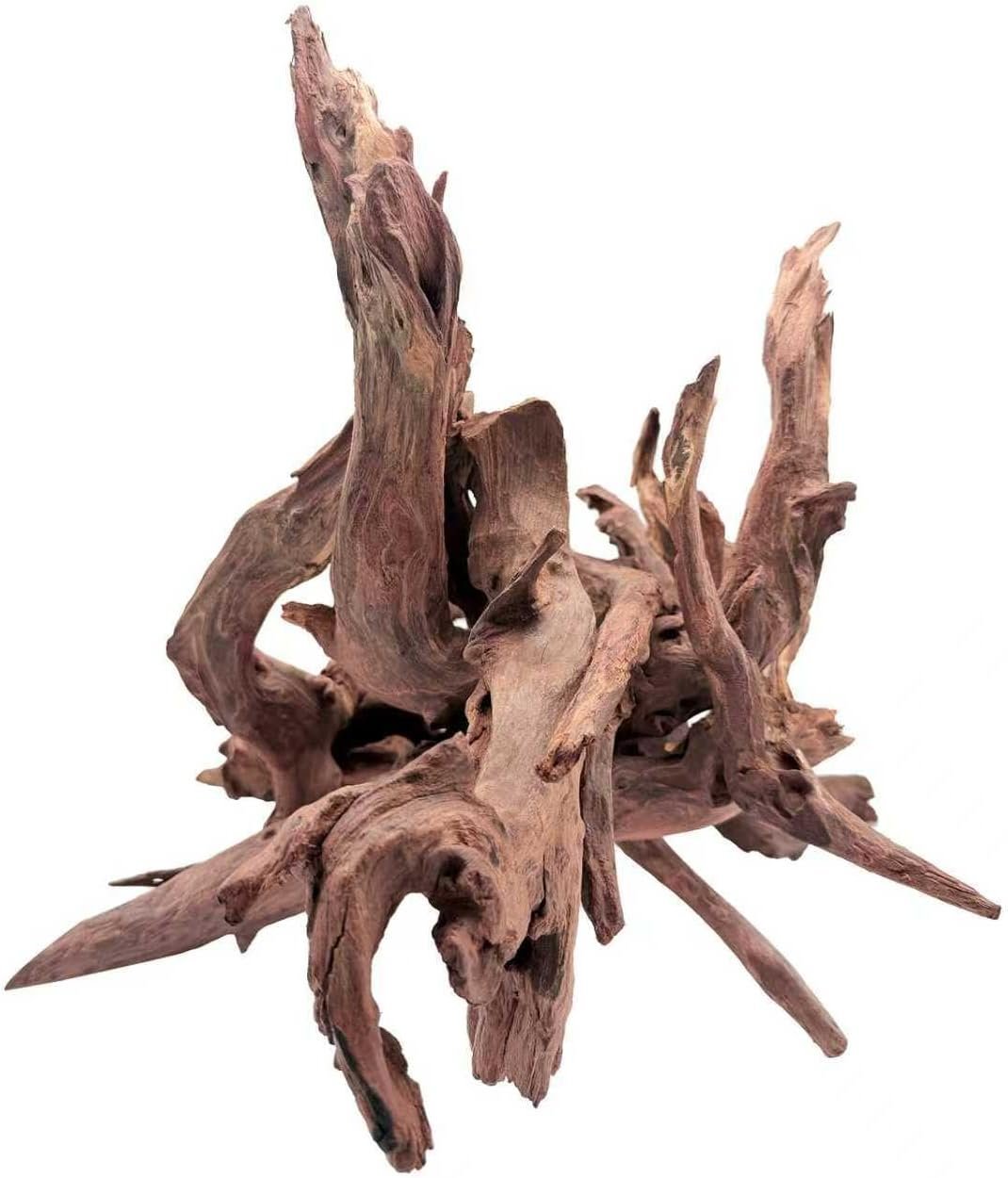 EFFIELER Natural Driftwood for Aquarium Decor – Unique Size Real Wood Branches for Fish Tank, Reptile Habitat, Terrarium, Hermit Crab, Shrimp Tank,Safe for Aquatic Pets (13-18 INCH, Mopani Driftwood)
