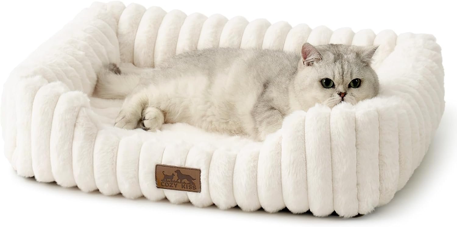 Orthopedic Dog Bed for Small Dogs & Cats – Washable Rectangle Pet Bed with Anti-Slip Bottom, Soft Calming Cat & Puppy Bed for Indoor Pets (25″x21″x6″, Cream)