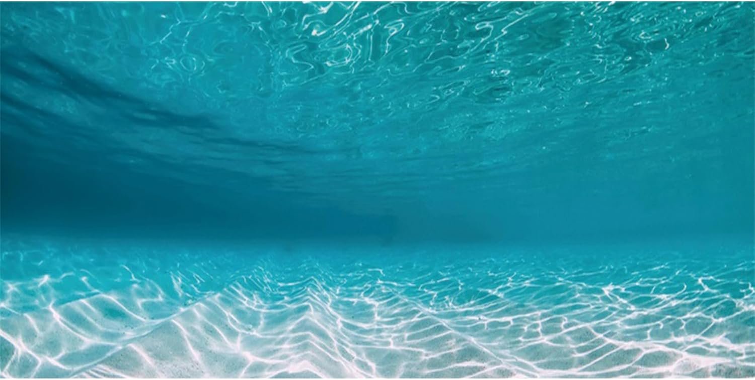 AWERT 30×18 inches Undersea Aquarium Background Pool Ocean Floor Aquarium Background Underwater Fish Tank Background