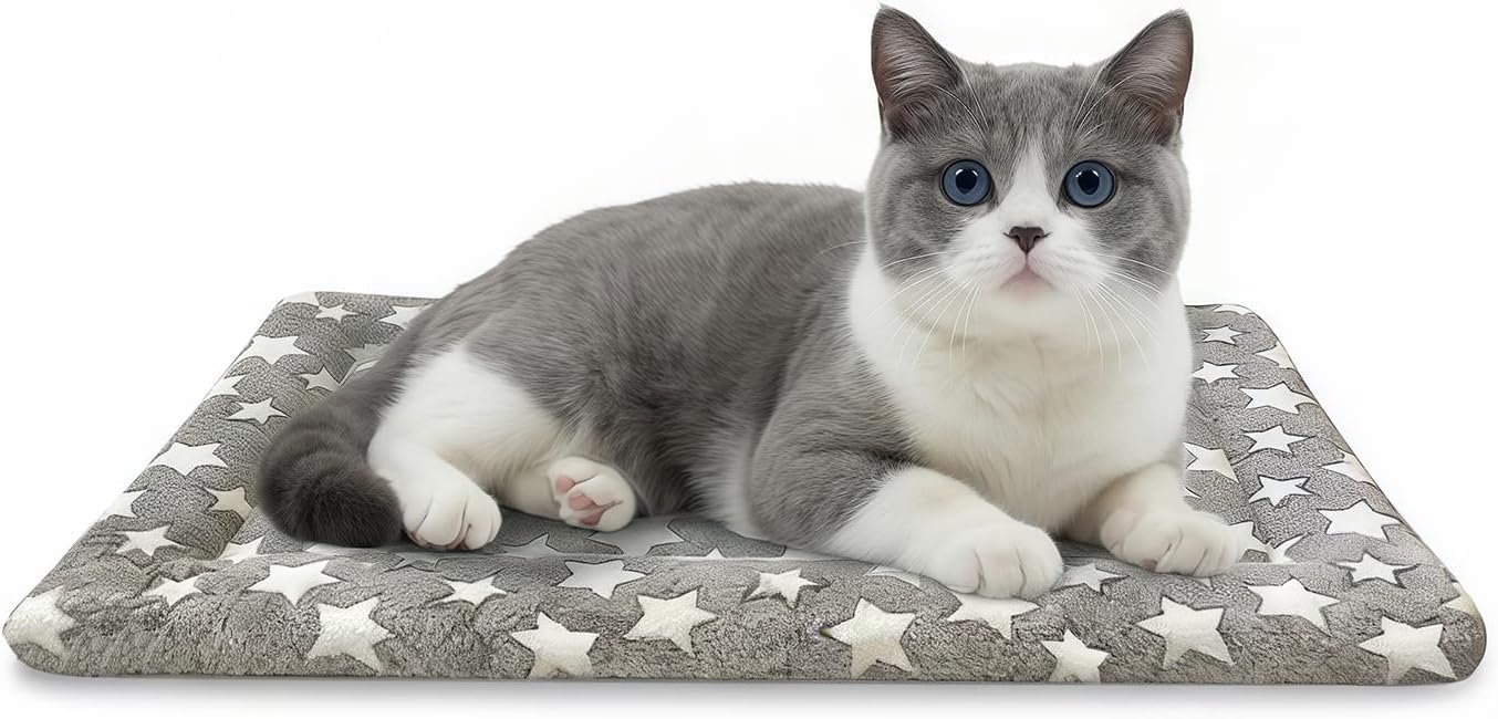 Dog Bed Mat, Dual-Sided Dog Crate Bed Mat – Ultra Soft & Machine Washable Kennel Pad for Cats and Extra Small Dogs, All-Season Comfort Pet Bed for Crates, Travel, and Home, Star Gray, 18 x 14 Inch