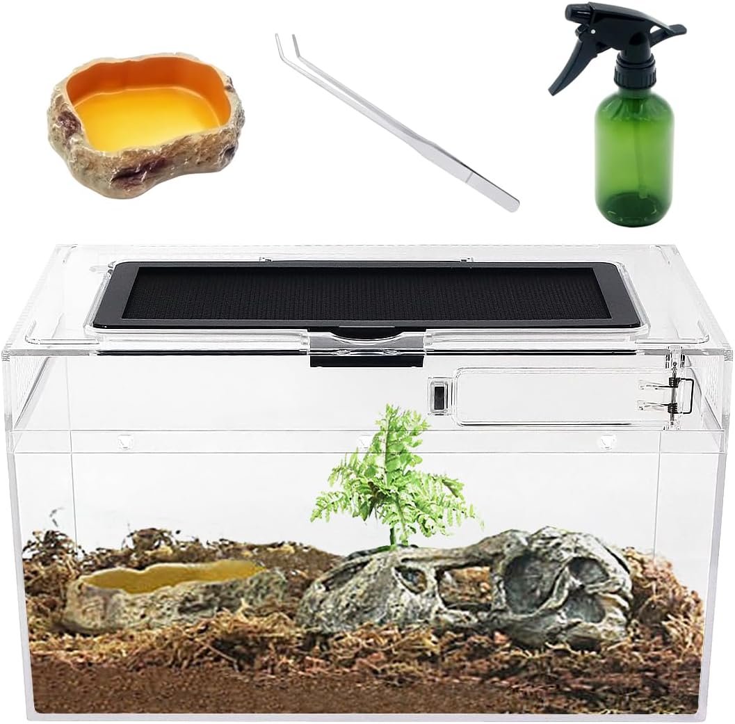 Mini Reptile Terrarium Set,12″ x 7″x 6″ Low Reptile Tank with Full View Visually Appealing，for Insect，Fish，Tarantula，Hermit Crab，Jumping Spider，Iguana，Tortoise，Leopard Gecko，Frog，Bearded Dragon