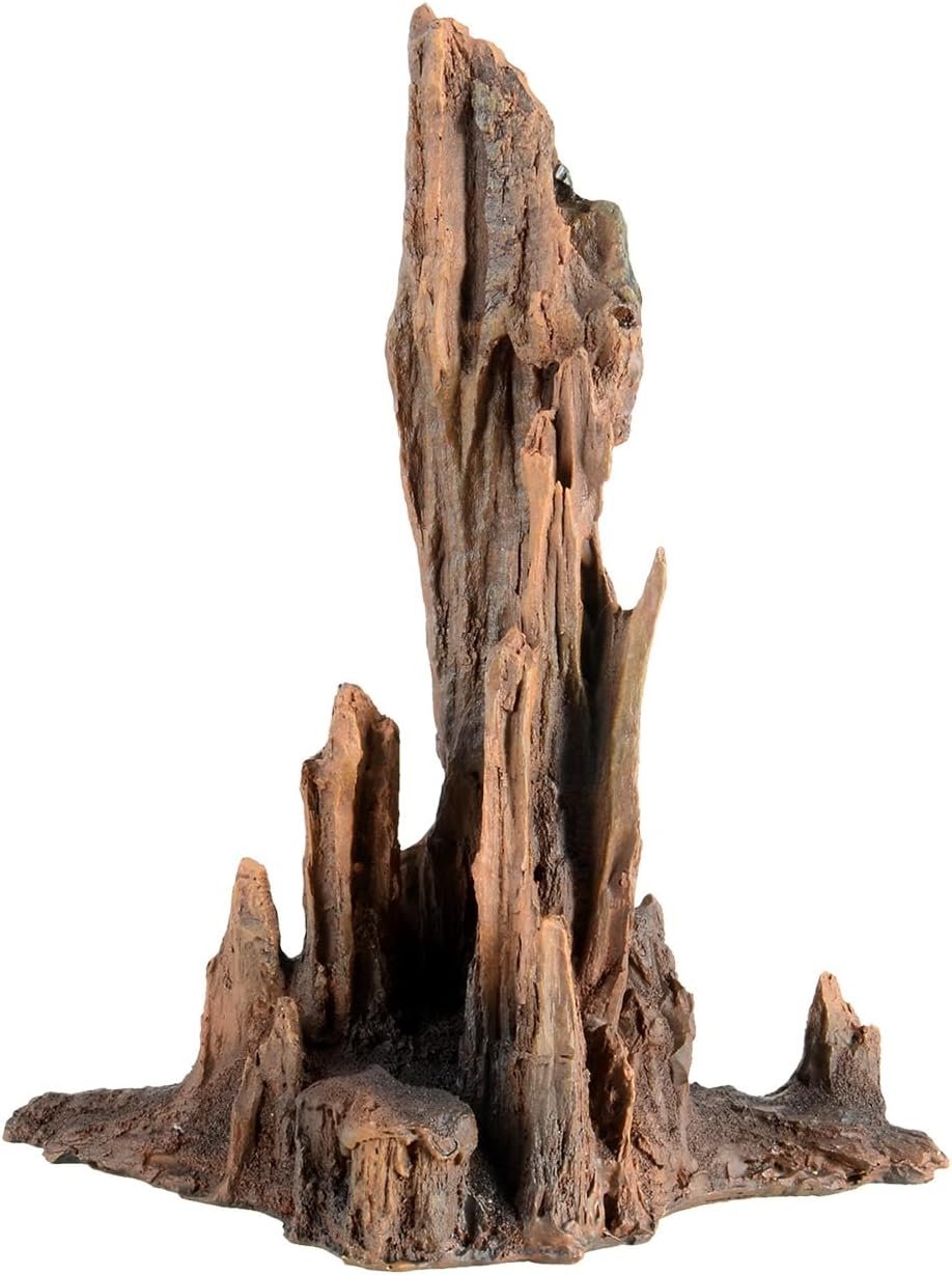 Underwater Treasures Petrified Wood – Large