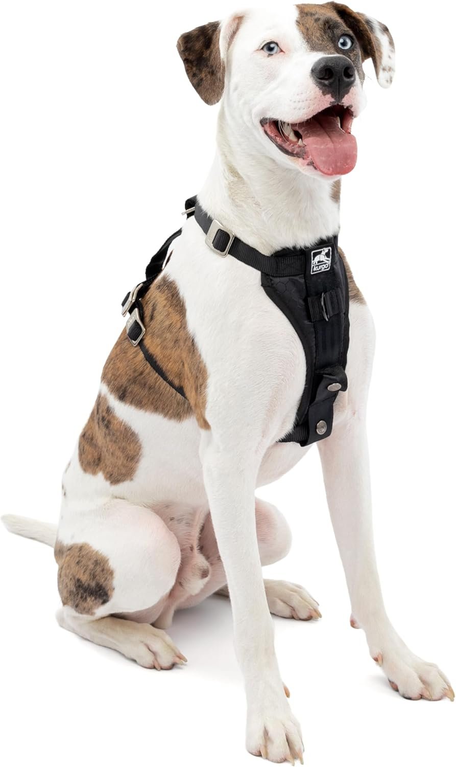 Kurgo Enhanced Strength Tru-Fit Dog Car Harness – Pet Travel Safety Harness – Crash Test Certified Fit – Five Point Adjustment – Secure Buckle – Padded Chest – Black – Medium