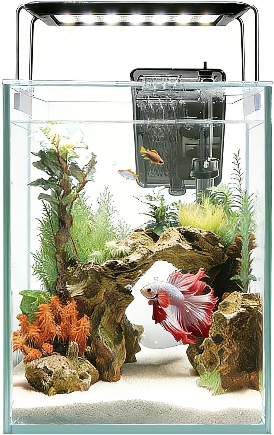 Ultra White Glass Aquarium Starter Kits 1.5 Gallon Small Fish Tank, Betta Fish Tank with LED Light, Power Filter, for Home Office Deco, 4mm Glass