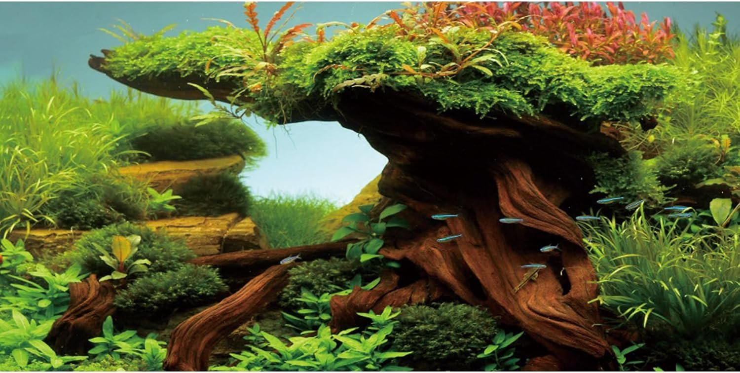 AWERT 48×24 inches Wood Fish Tank Background Seaweed Aquarium Background River Bed & Lake Aquarium Background Vinyl Background