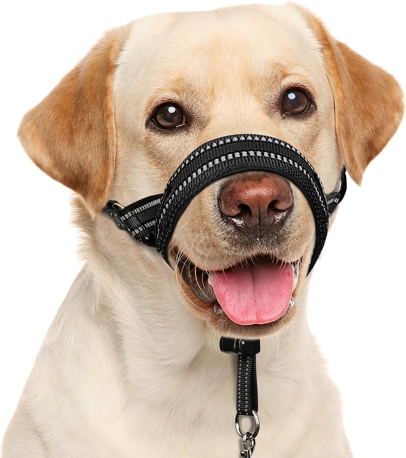 BARKLESS Soft Dog Head Collar, Patented Padded No Pull Head Halter, Training Nose Leash with Safety Link for Medium Large Dogs, Adjustable Muzzle Leash, Easy Control for Walking(Black, L)