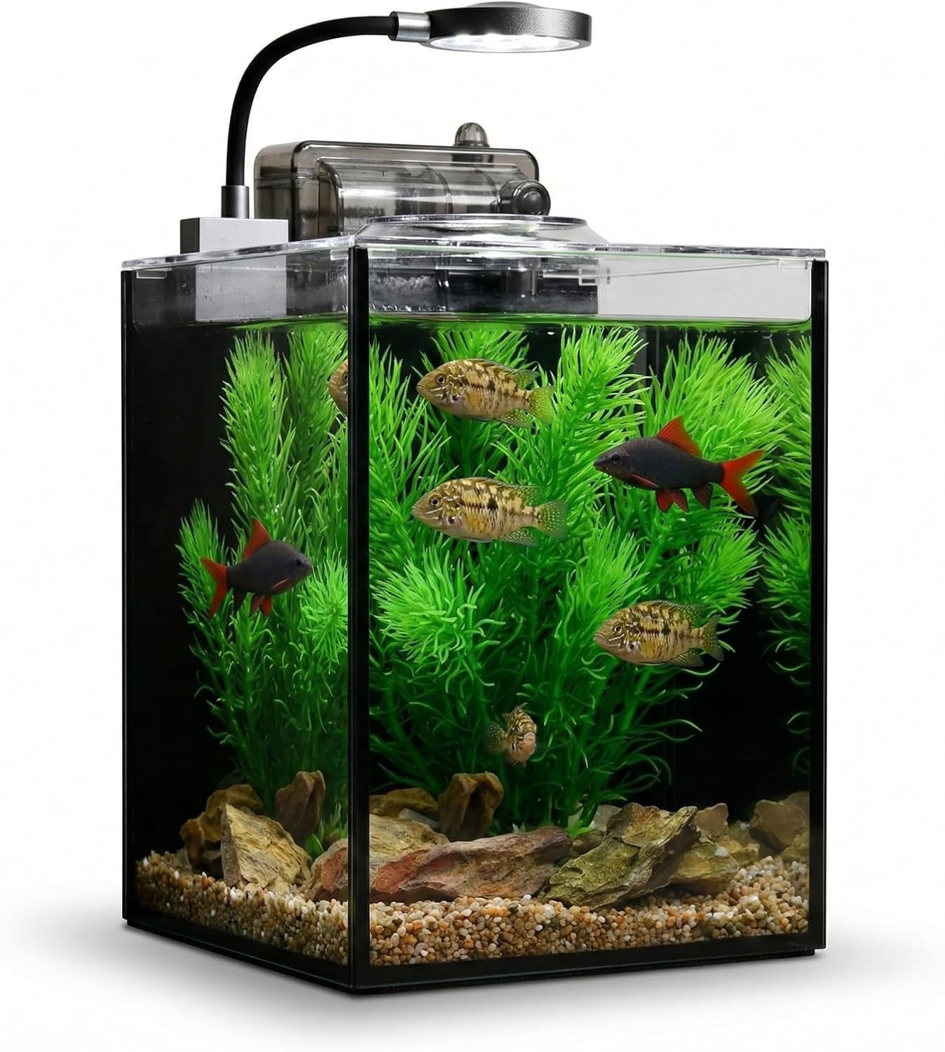 1.2 Gallon Betta Fish Tank, Small Aquarium Kit,Glass Small Fish Tank,Betta Fish Tank with a lid and Light and Filter, Small Transparent Glass Fish Tank with Light and Filter(Black Glass Background)