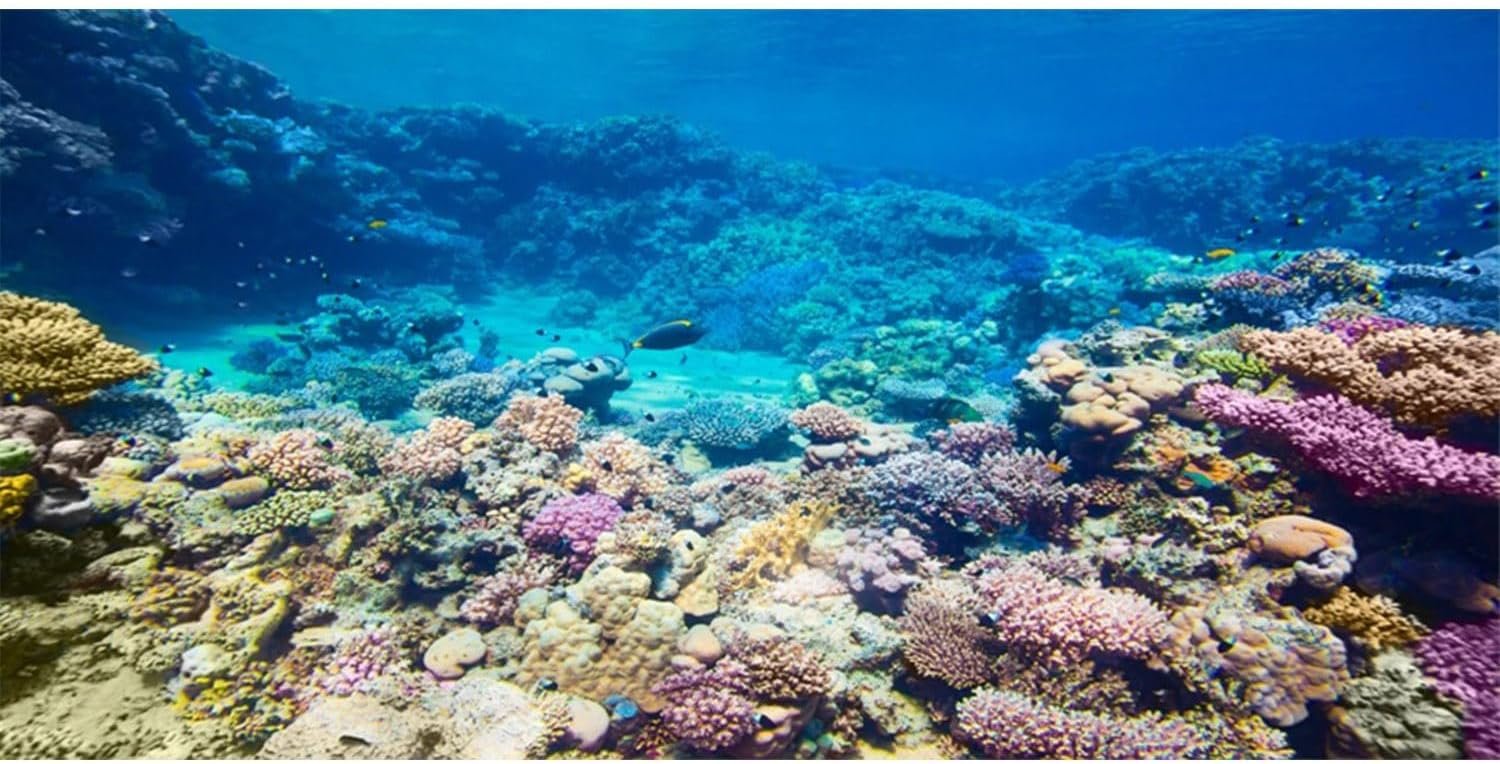 AWERT 30×18 inches Aquarium Background Coral Reef Tropical Fish Undersea Fish Tank Background Polyester Background