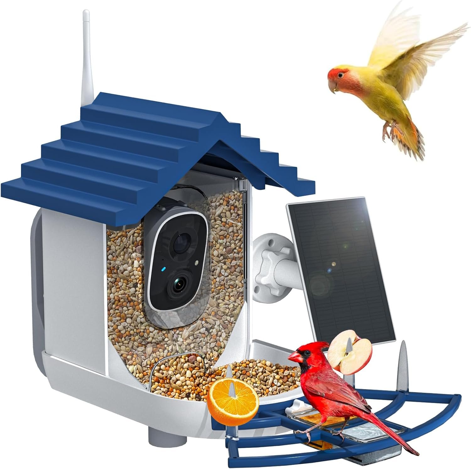 Smart Bird Feeder with Camera Solar Powered & AI Bi rd Identification, 2.4Ghz WiFi Bird feeders for Outdoors, 2K Live Video, Instant Arrival Alerts – Gifts for Women