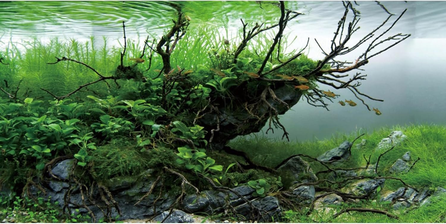 AWERT 24×16 inches Branches Fish Tank Background Seaweed Aquarium Background River Bed & Lake Aquarium Background Vinyl Background