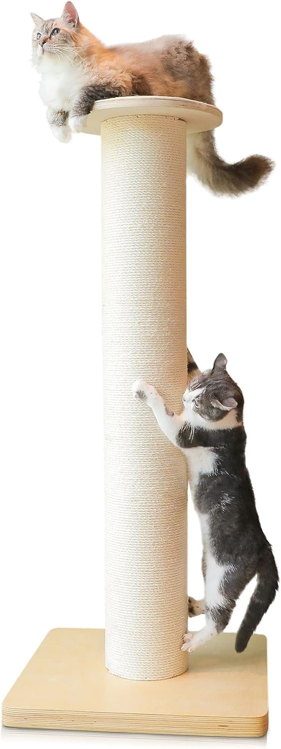50″ Tall Cat Scratching Post, Extra-Large Cat Scratch Post for Biggest Cats (Maine Coon), 7.3” Thick Post, 36lbs Weight, Solid Wood Base & Natural Sisal Rope