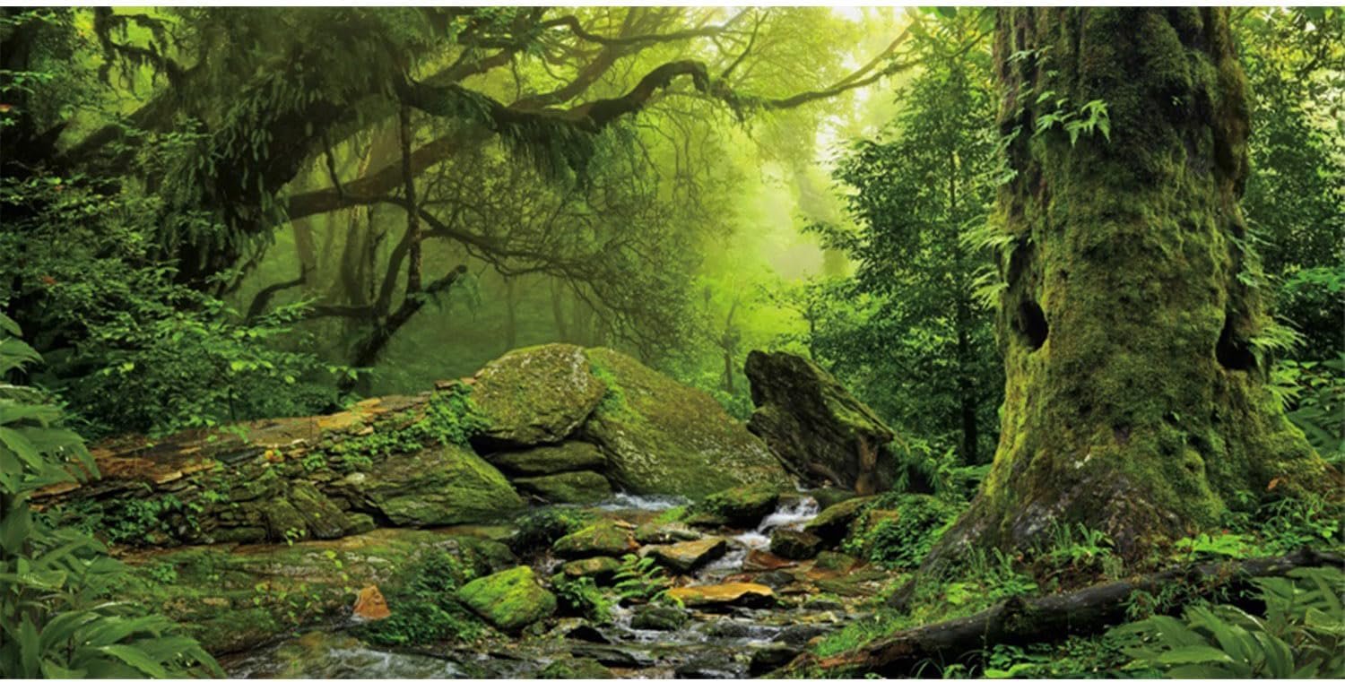AWERT Tropical Forest Terrarium Background Stream Green Huge Tree Reptile Habitat Background Foggy Rainforest Aquarium Background 48×20 inches Durable Polyester Background