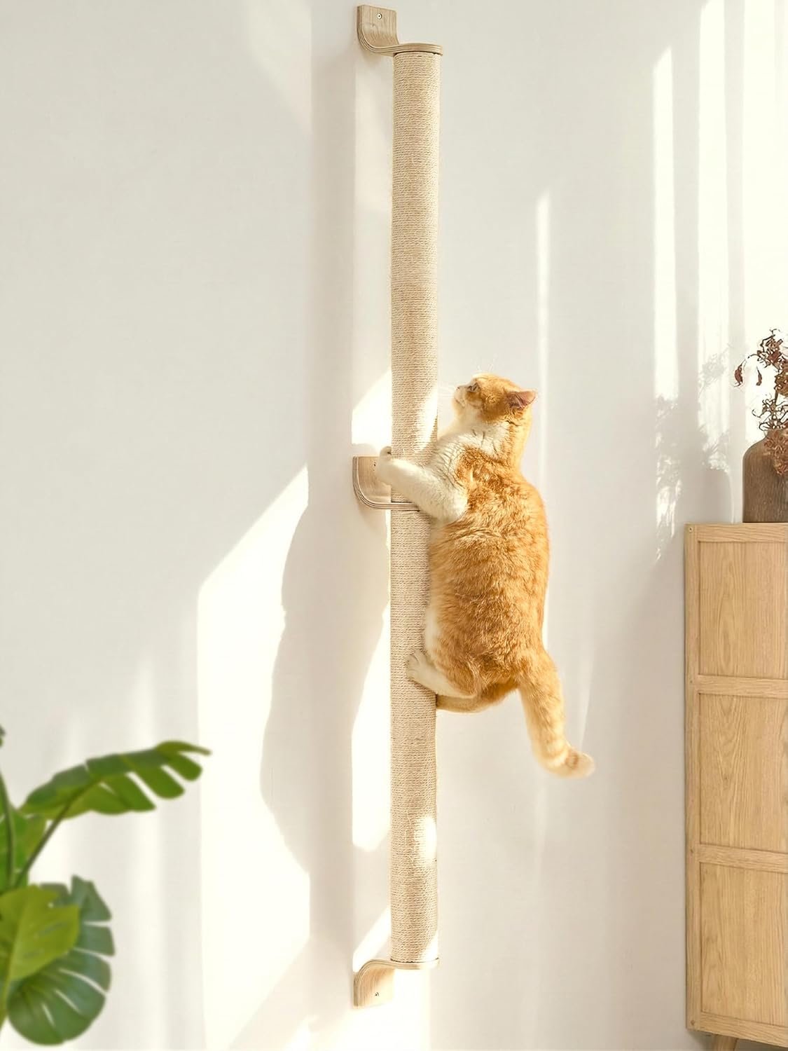 FUKUMARU Cat Wall Scratcher, 60″ Tall Wall Mounted Kitten Scratching Post, Sturdy Sisal Climbing Tree for Indoor Large Cats