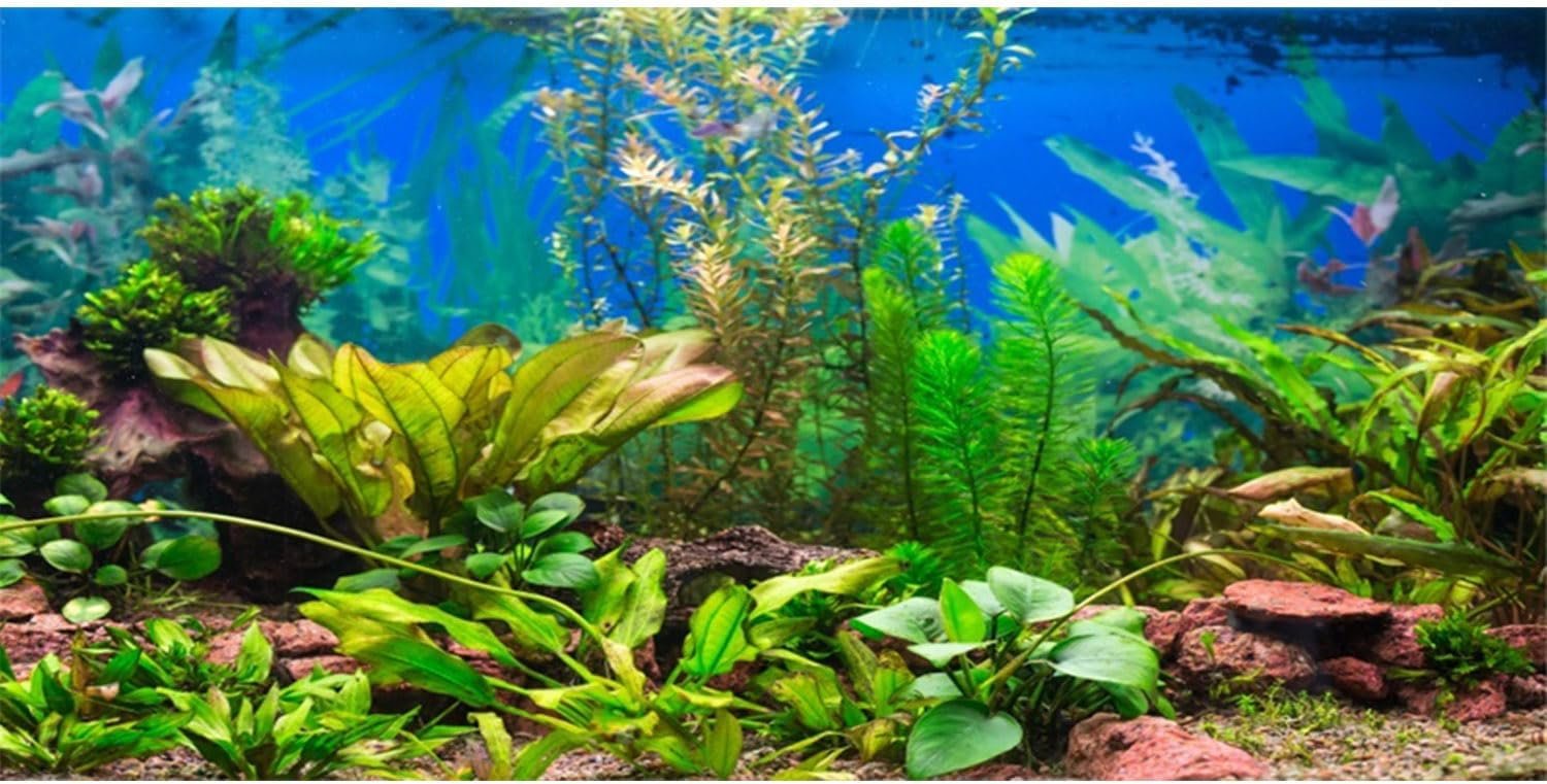 AWERT 24×12 inches Aquarium Background Aquatic Plant River Bed & Lake Fish Tank Background Vinyl