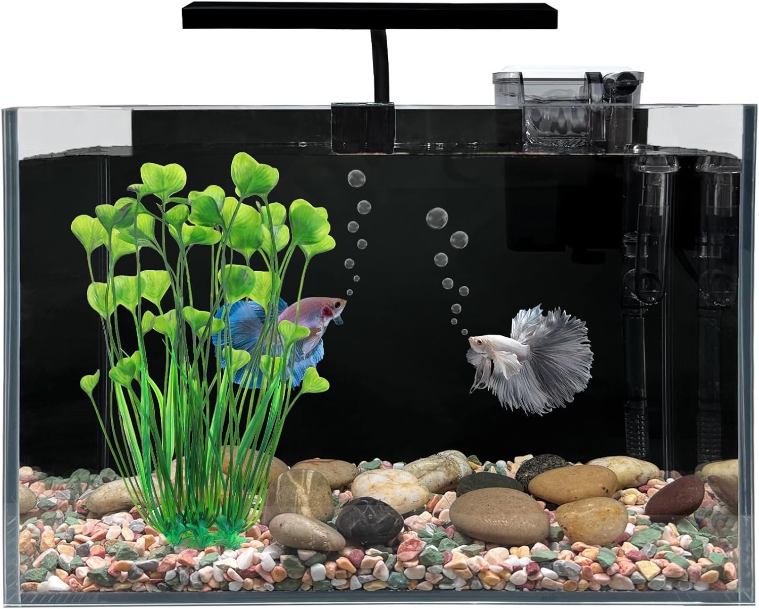 Betta Fish Tank, 2.5 Gallon Nano Nature Aquarium Starter Kit, Ultra-Clear Rimless Desktop Fish Tank with Light, Filter, Gravel and Rock, Aquarium Perfect for Small Fishes, Black