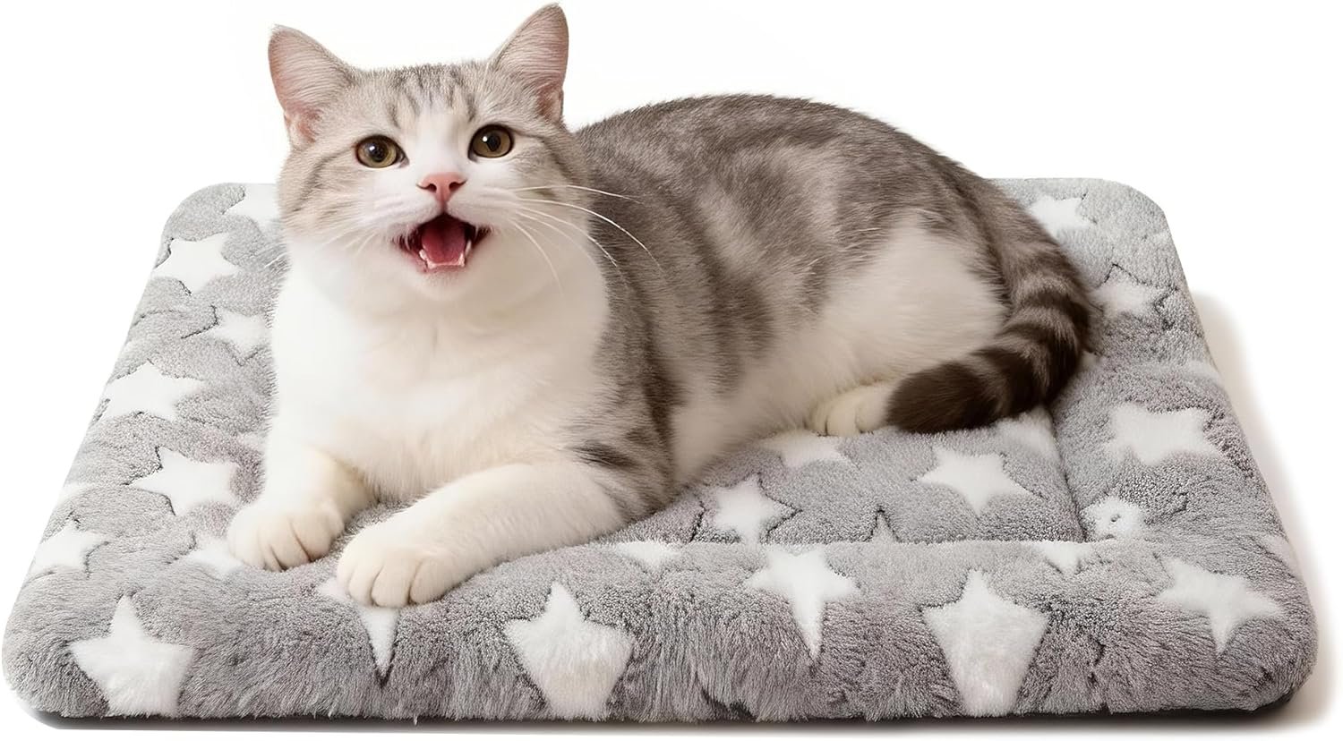 Dog Bed Mat, Reversible Crate Pad & Cute Dog Bed – Machine Washable Kennel Mat with Ultra Soft for Small Dogs & Cats