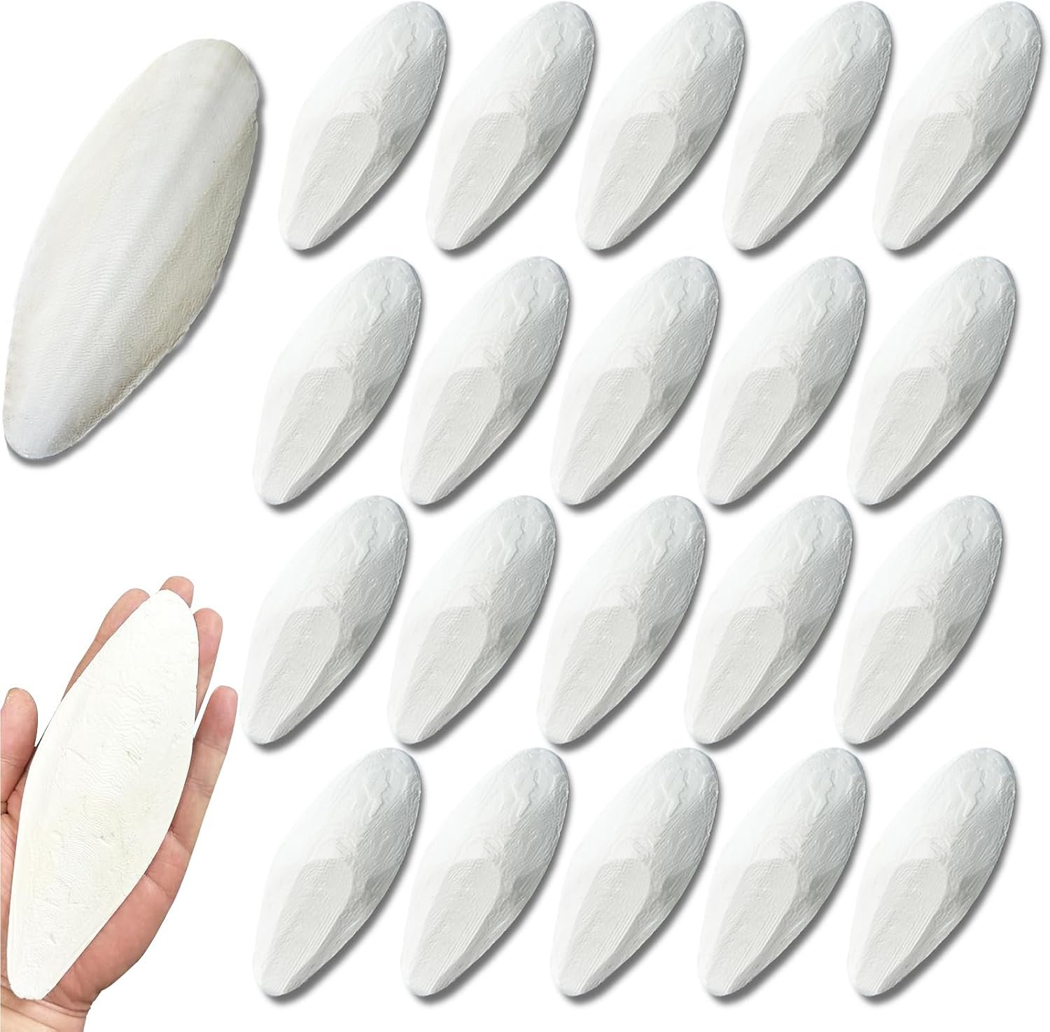 Bird Cuttlebone for Parakeets Cuttlebone for Birds – Natural Cuttlefish Bone Bulk Chew Toy Bird Bites Calcium Stone for Canaries Tortoises,Snails,Reptiles,Parrots,Cockatiel