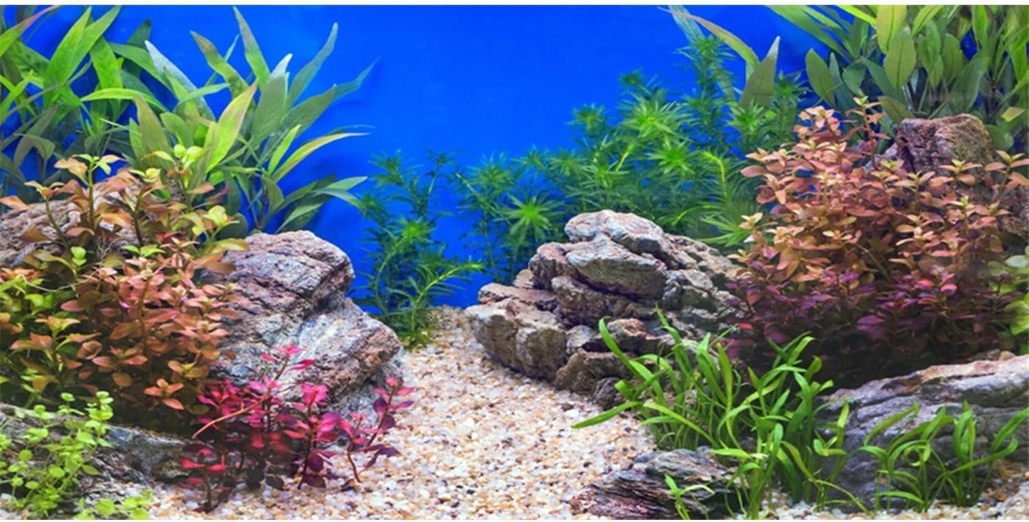 AWERT 24×12 inches Aquatic Plant Fish Tank Background Stone River Bed & Lake Aquarium Background Vinyl