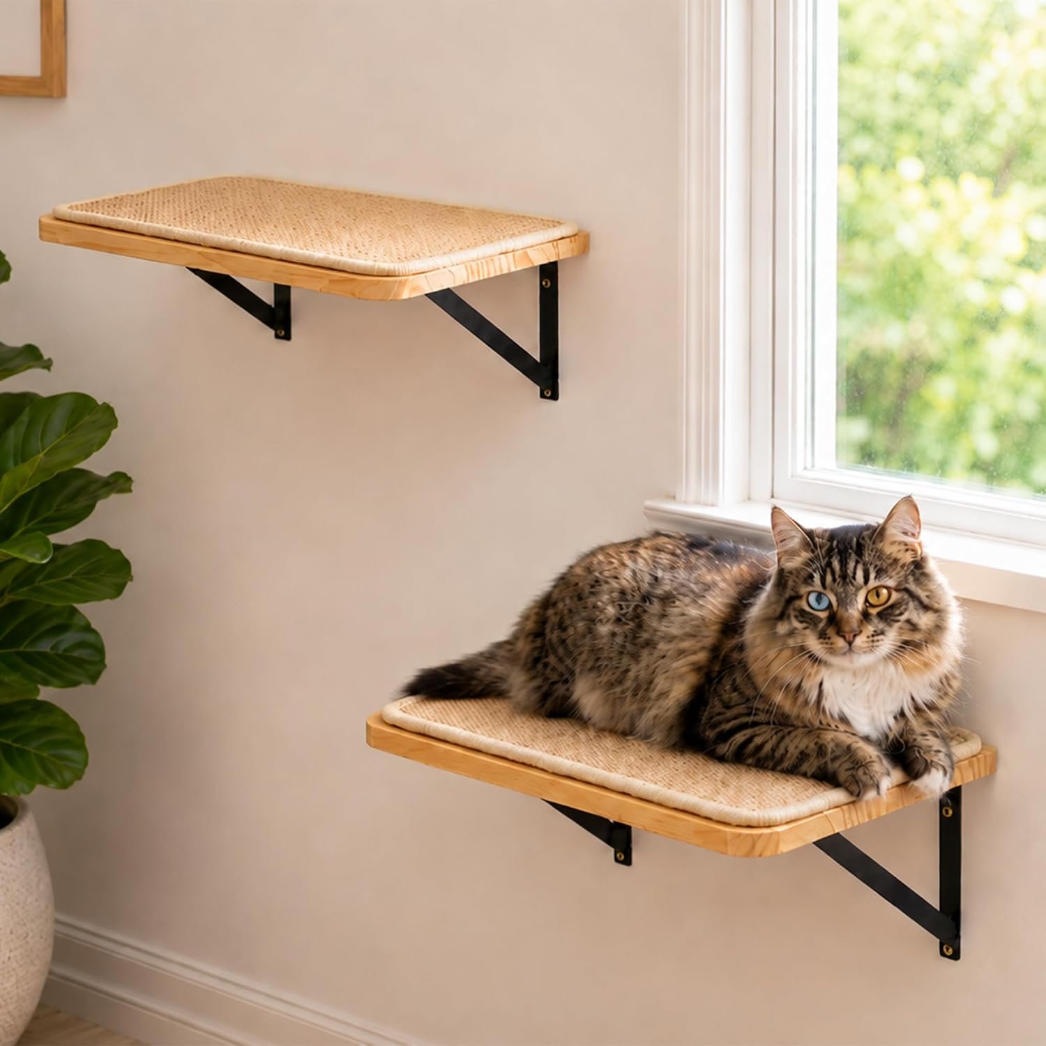 2PCS Cat Wall Shelves with Scratching Mat, 16.6×9.7 Inch Solid Pine Wood Wall Mounted Kitten Floating Shelf, Window Perch Hammock, Cats Wall Furniture for Cats Sleeping, Playing, Climbing