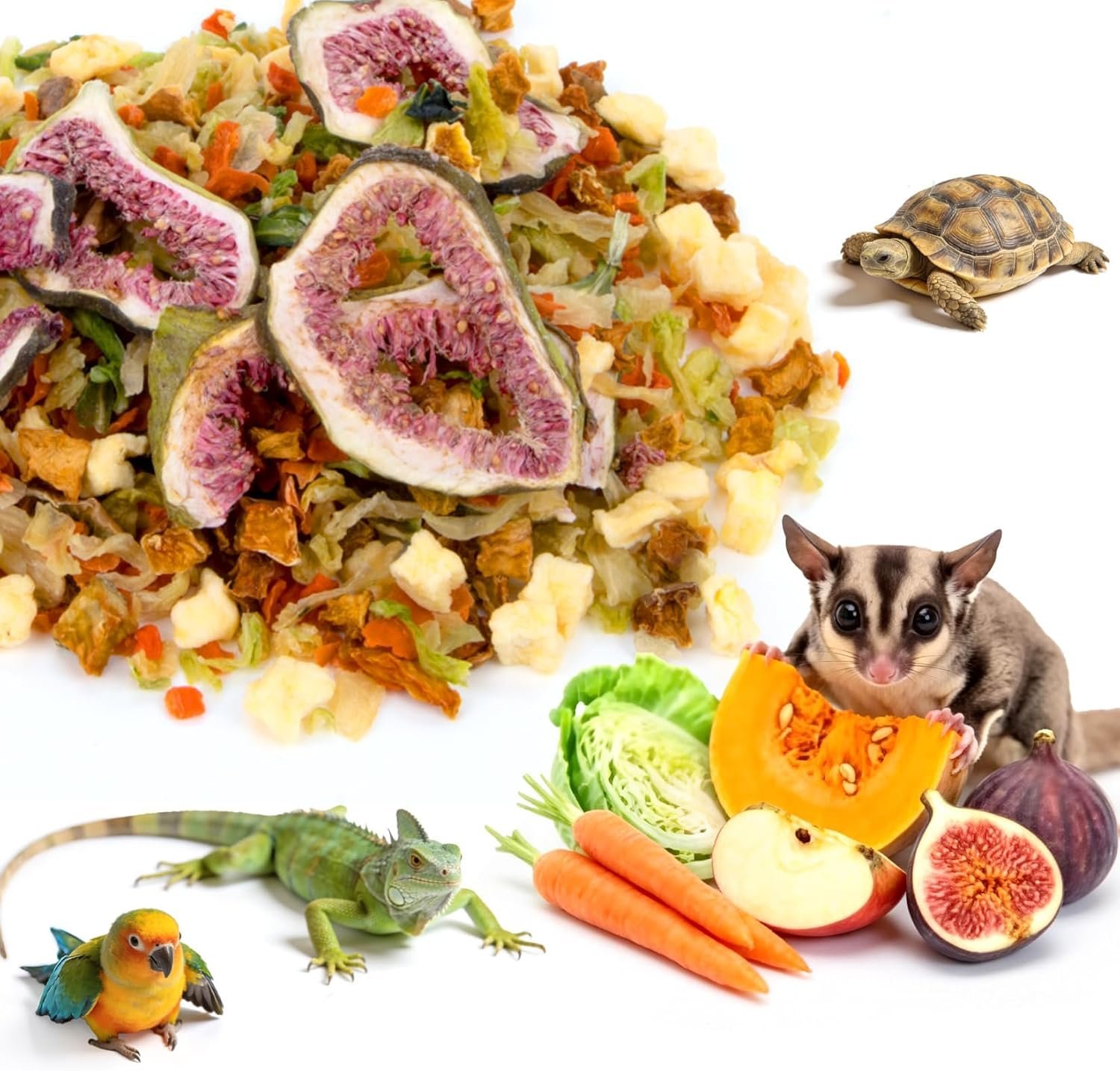 RAINFLOW High Calcium Dried Fruit & Vegetable – Birds & Small Pet Food Mix for Sugar Glider, Bird, Hamster, Parrot Treats Blend, Calcium Supplement for Bearded Dragon, Guinea Pig, Rabbit & More