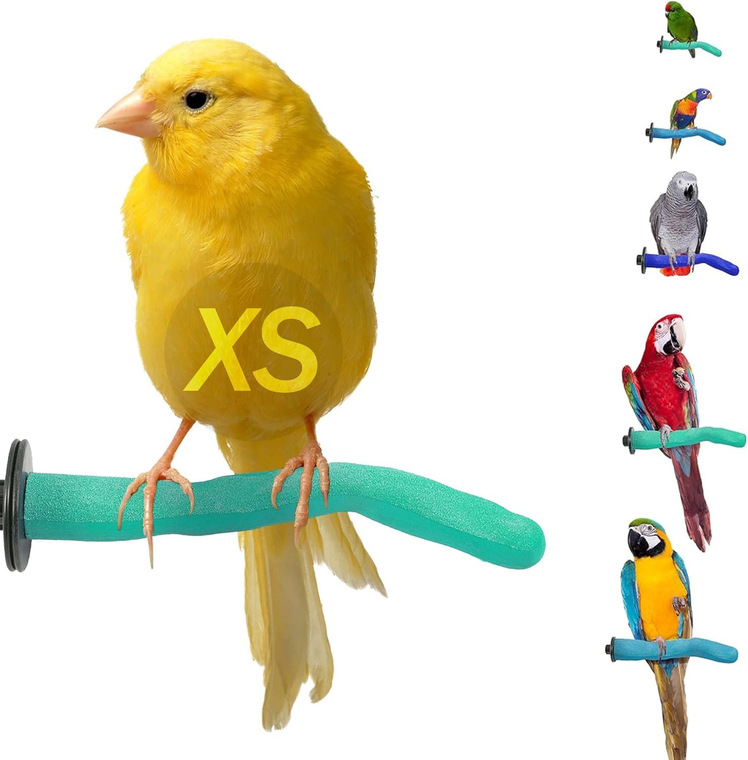 Sweet Feet & Beak Safety Pumice Bird Perch, X-Small 1/2″ X 6″, Lightweight Grinding Bird Perches for Cage – Bird Nail Trimming Perch for Healthy Beak & Feet – Multi-Size & Color Parrot Stand – Green