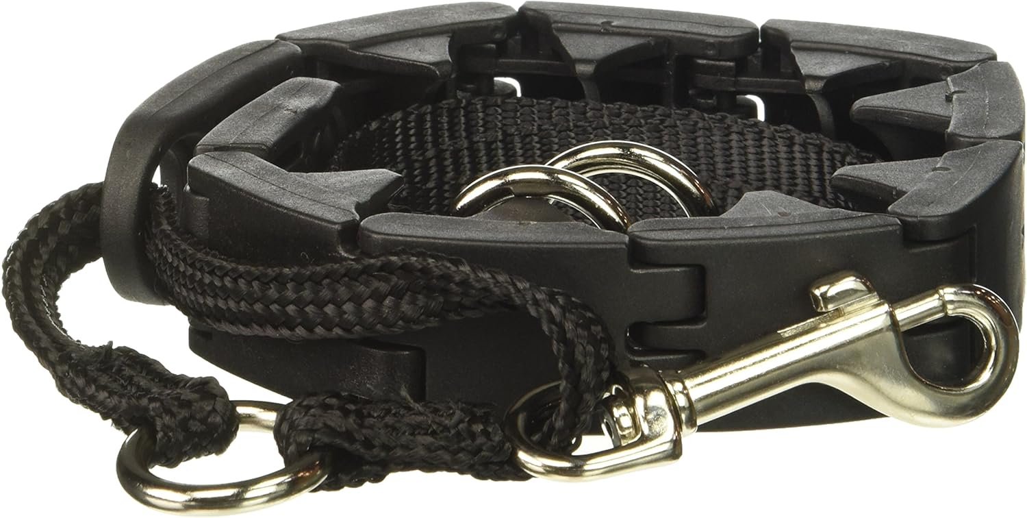Star Mark Pro-Training Dog Collar, Large – 21″