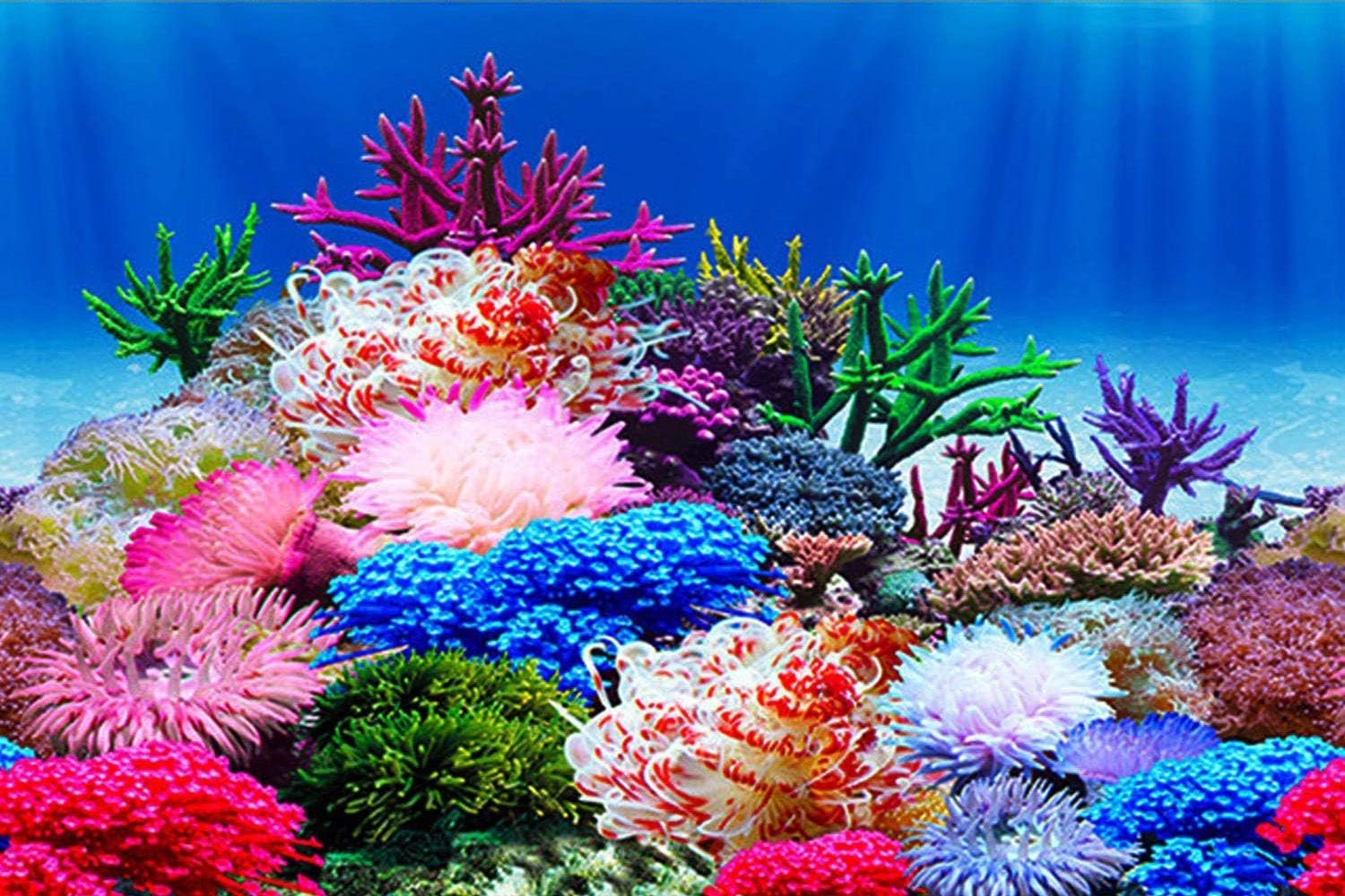 ELEBOX Aquarium Background Poster, Undersea Water Plants Sea Anemone Coral Aquarium Decor Background Double Sides Fish Tank Background Sticker Decorations 10 Gallon 20 Gallon Tank 11.8″x24.4″