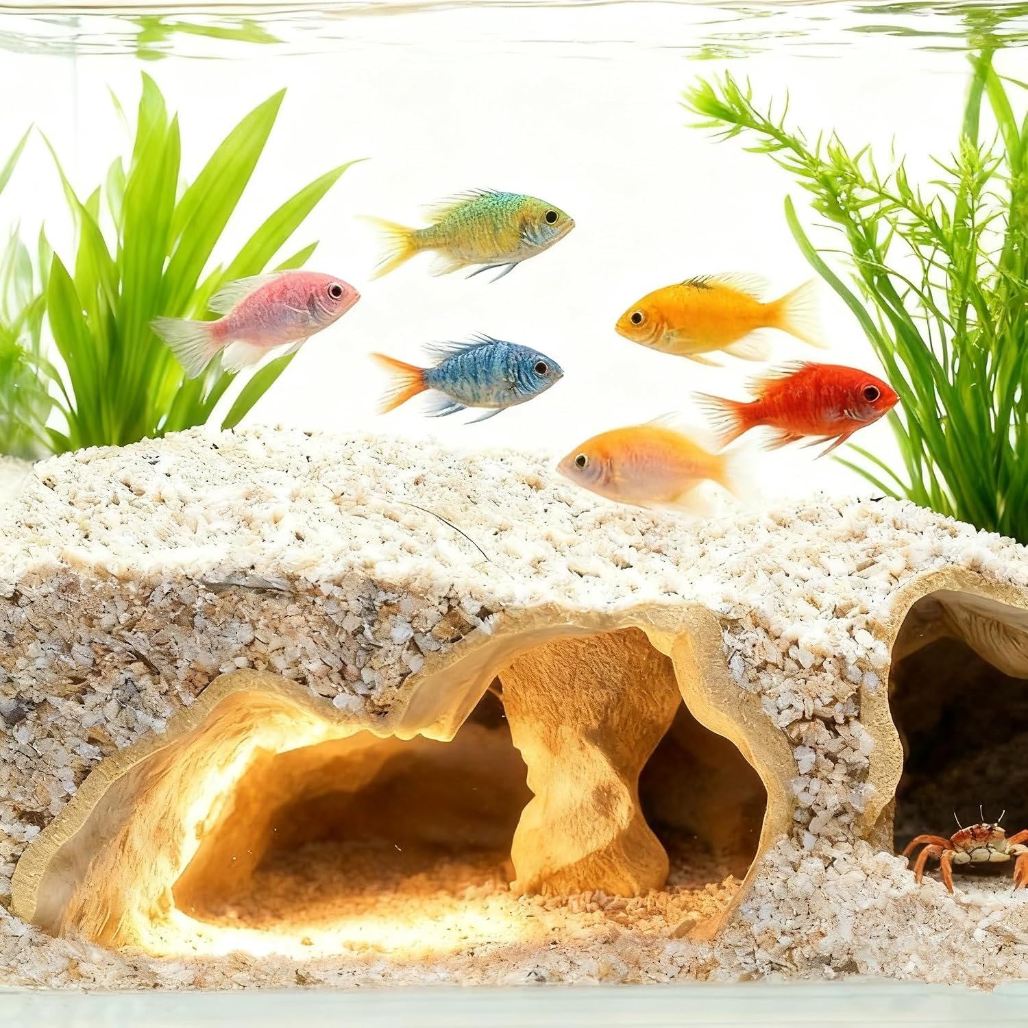 Aquarium Cave Tunnel 3D Printed – Fish Tank Decoration Natural Fish Hideout for Pleco, Shrimp & Corydoras | Sinking Base & Viewing Ports | Substrate-Friendly Decor (6.7″ Under Gravel Design)
