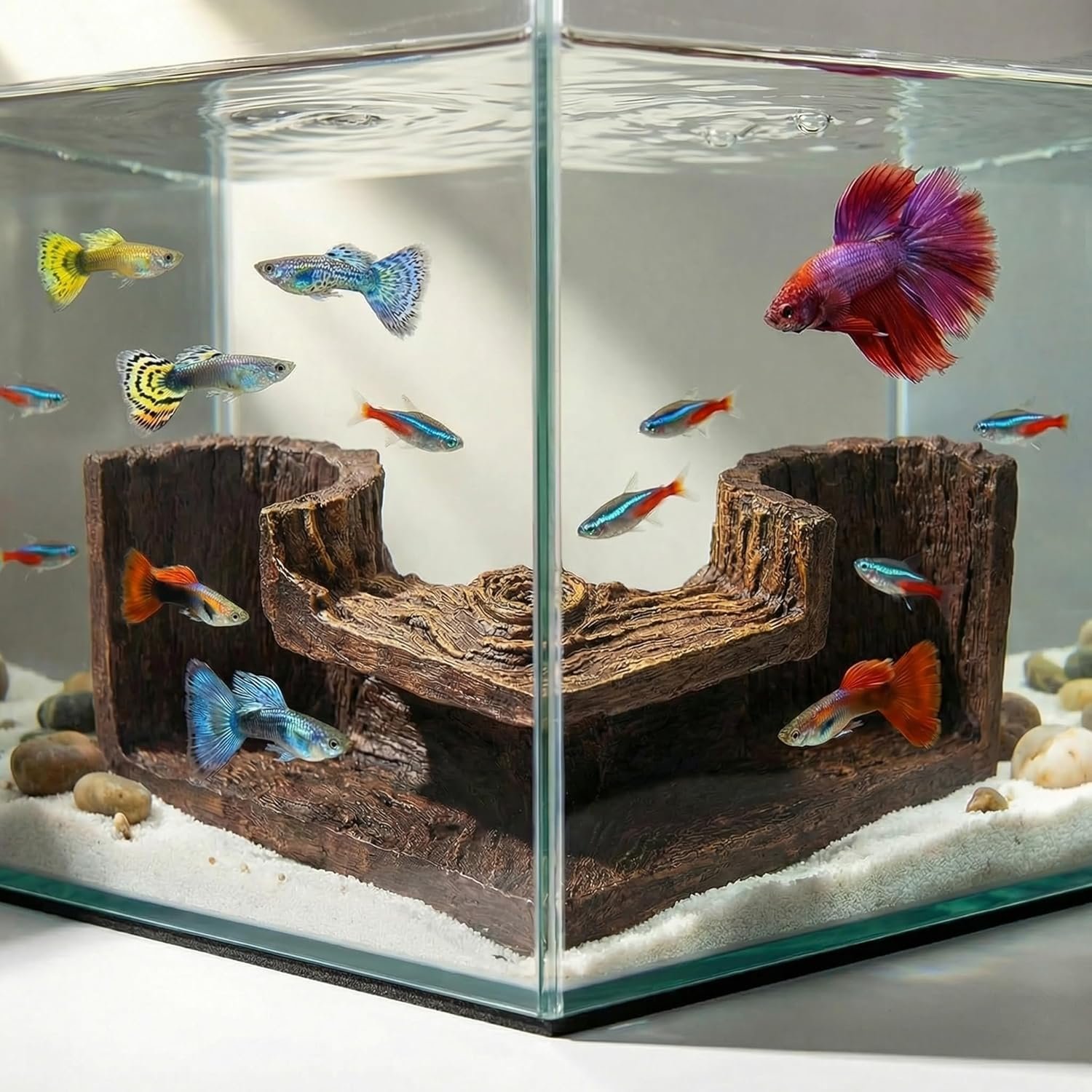 Aquarium Cave – Natural Resin Wood-Like Fish Tank Decorations & Accessories, 5.1″ x 2″ x 2.7″ Safe Betta Hide & Tunnel for Guppy, Neon Tetra, Corydoras Catfish – Stackable Corner Ornament