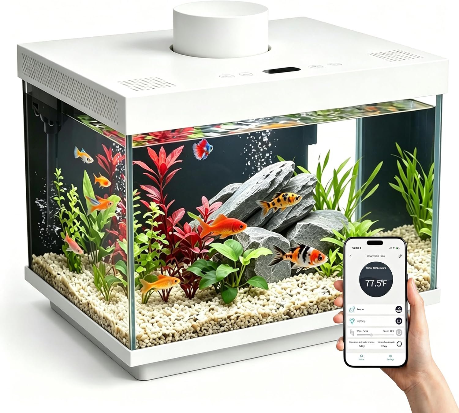 Smart Fish Tank, 2 Gallon Glass Aquarium Starter Kit with App Control, Auto Feeder, Temperature Display, RGB Color Light 3-in-1 Quiet Pump with Filter for Home, Office Corner
