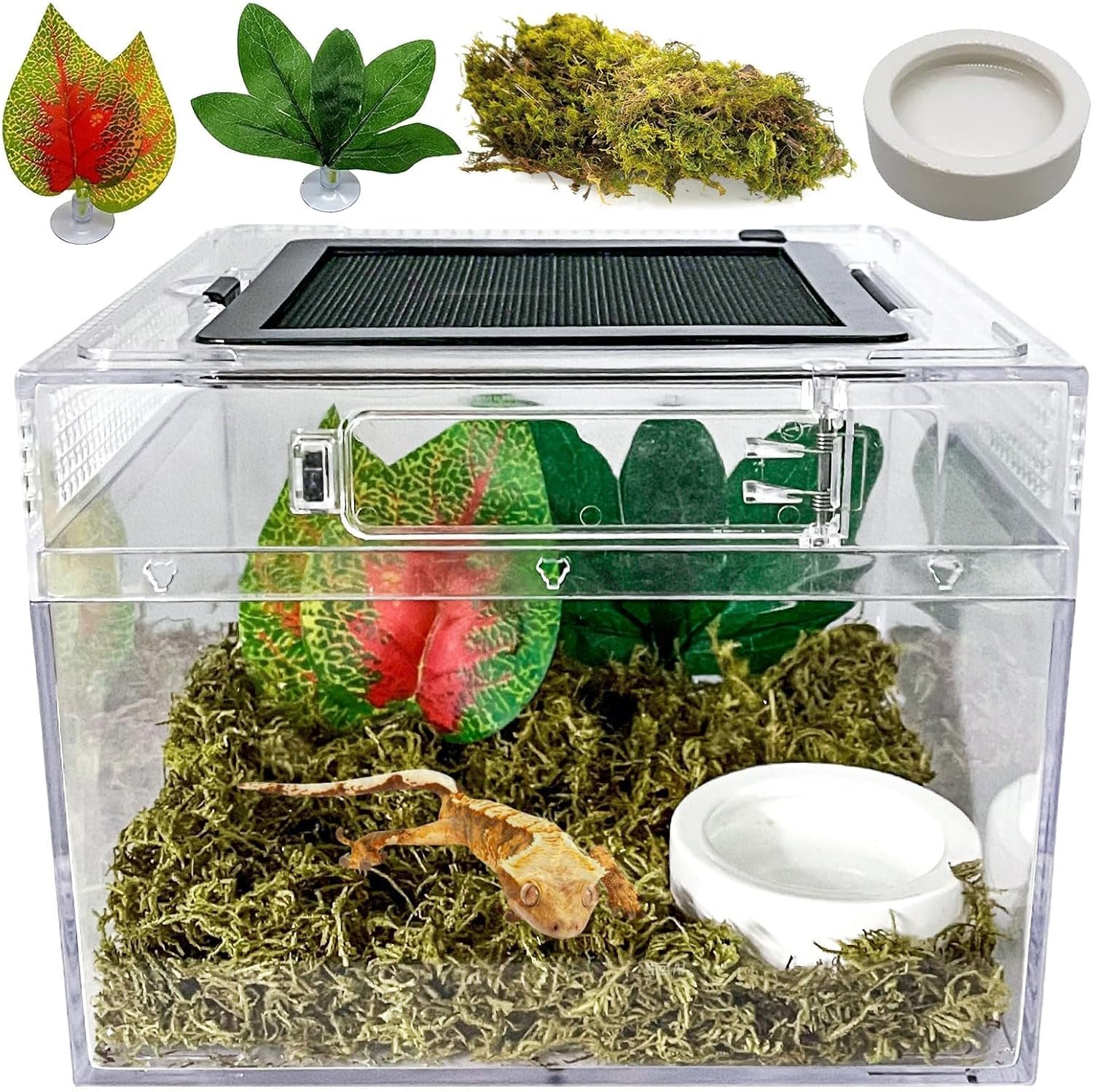 Reptile Terrarium, Jumping Spider Enclosure Starter Kit, Leopard Gecko Habitat Container, 8″x8″x6″Reptile Tank for Tarantula, Hermit Crab, Insect, Fish, Frog, Small Bearded Dragon, Lizard