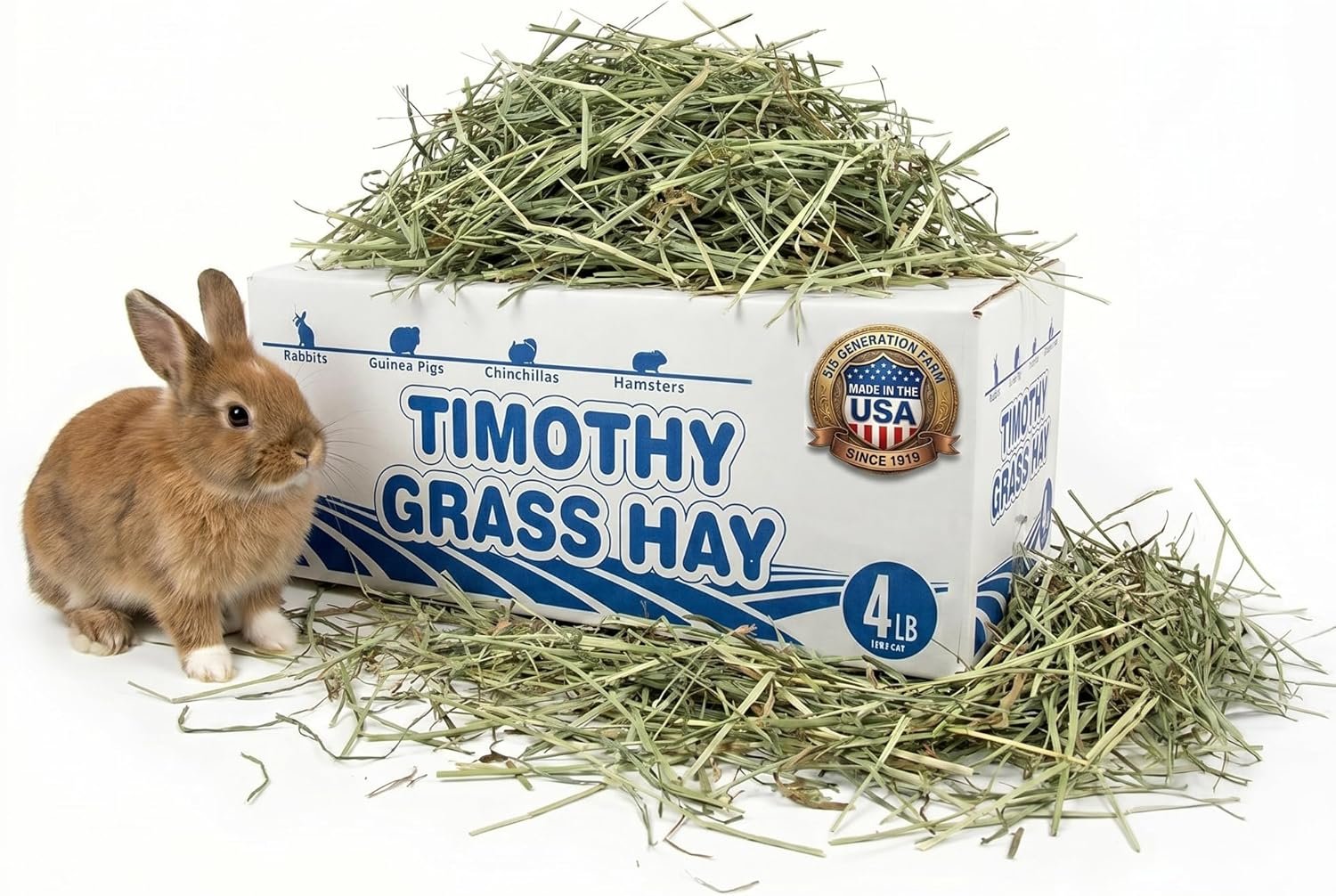 High Desert 1st Cut Timothy Hay for Rabbits, Guinea Pigs, and Small Pets, Premium Grass Hay for Daily Feeding and Digestive Health, Natural Rabbit Food and Guinea Pig Food, Small Pet Supplies, 4 lb