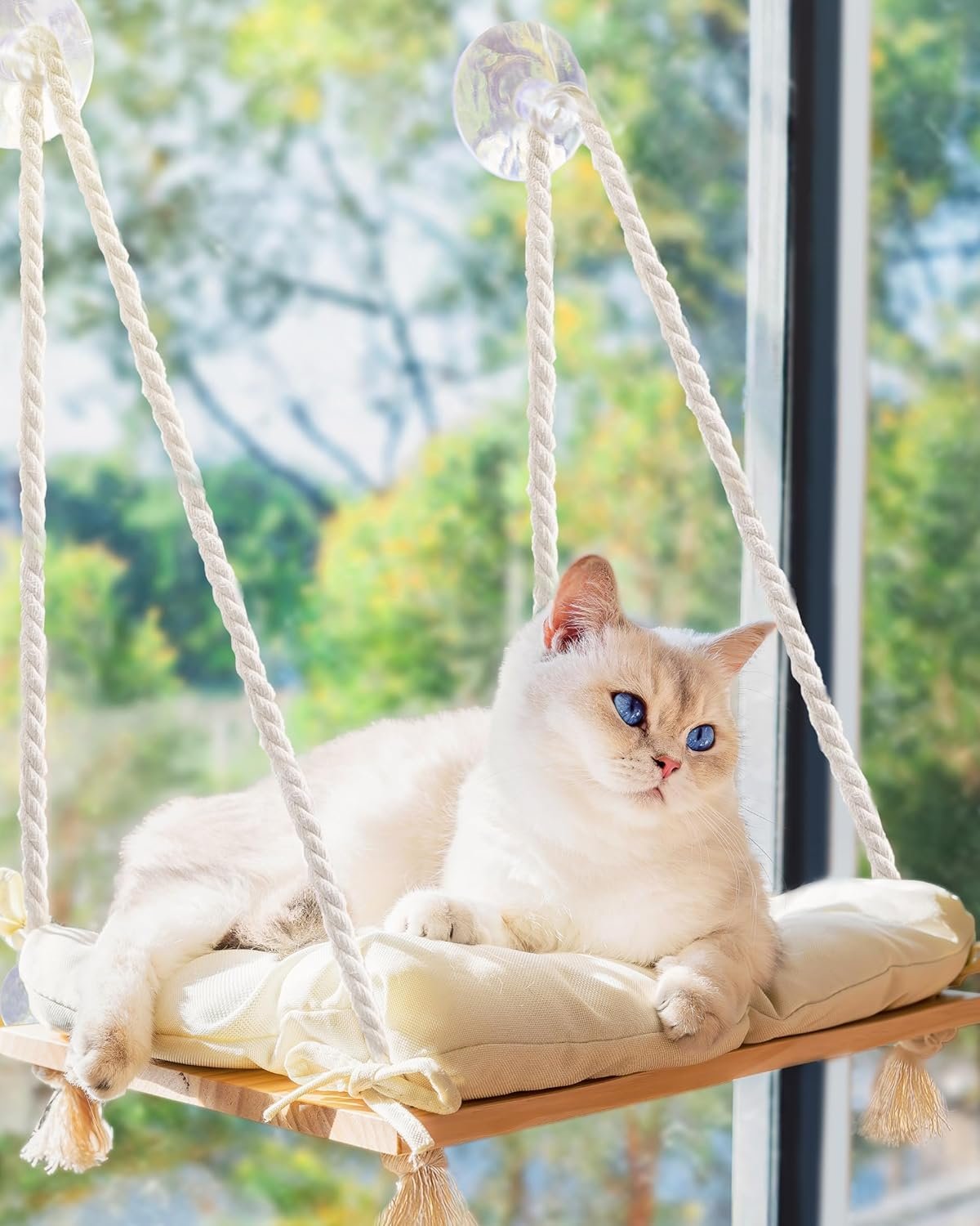 Cat Window Perch with Industrial-Grade Suction Cups – Solid Pine Wood Hammock Bed, Soft Cushion – 42 lb Capacity for Cats Inside