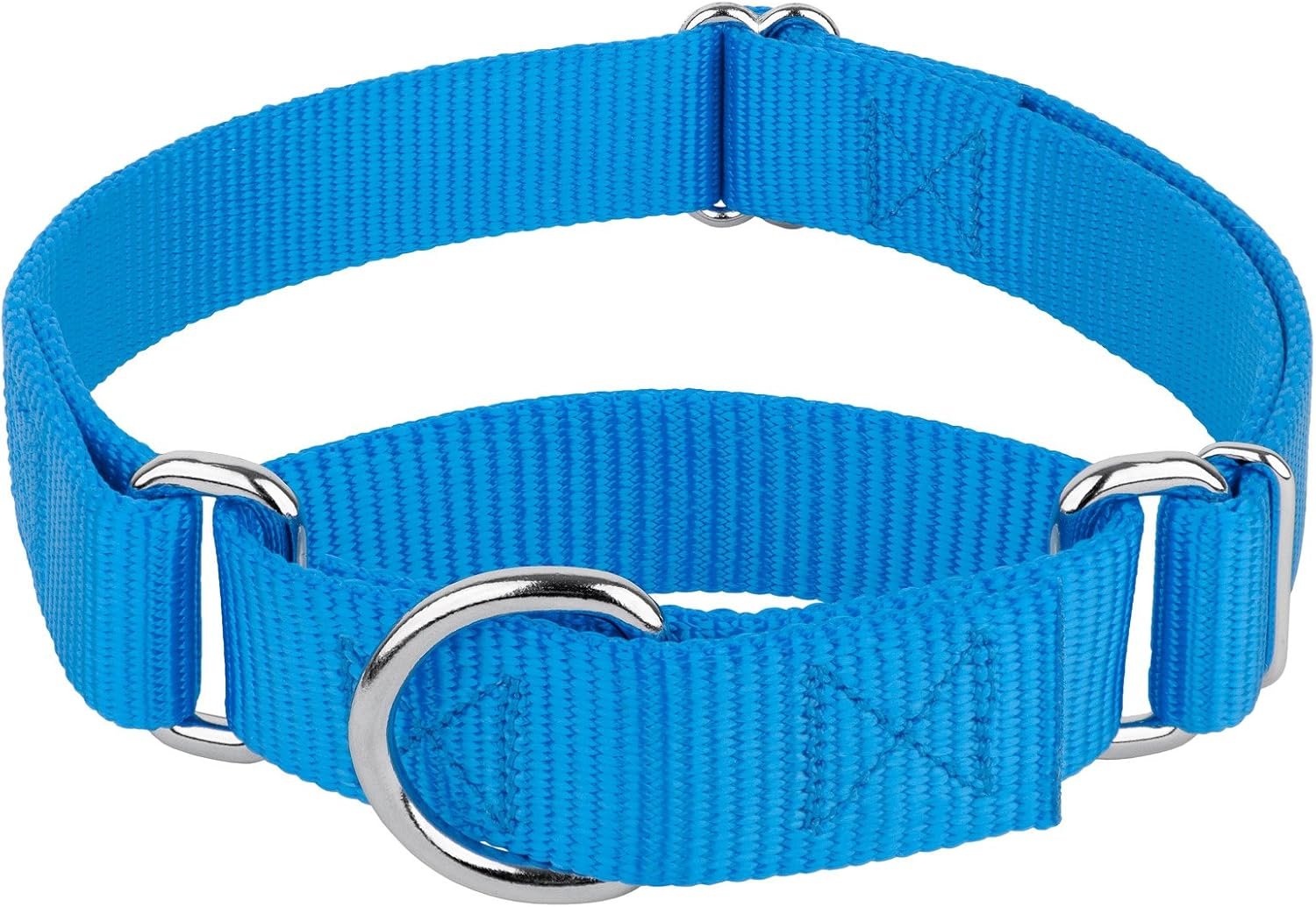 Country Brook Petz – Martingale Dog Collar – Heavy-Duty Training Collar with No Buckle – Service Dog Collar for All Pups – 20 Vibrant Colors (Ice Blue, 1 Inch, Medium)