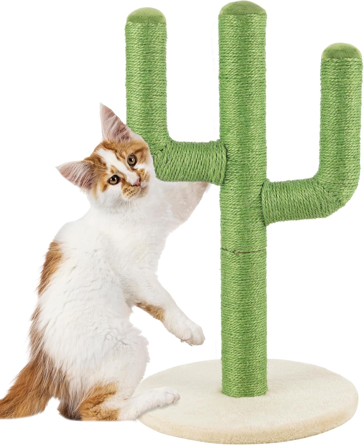 24” Tall Cat Scratching Post – Vertical Cactus Scratch Post for Indoor Cats – 360 Degree Jute Rope-Covered Kitten Scratcher with 3 Branches and Sturdy Base by PETMAKER (Green)